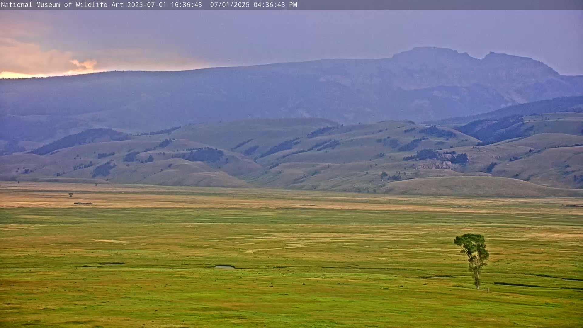 Jackson Hole, Elk Refuge from National Museum of Wildlife Art Live Cam -  Jackson, Teton, Wyoming, USA