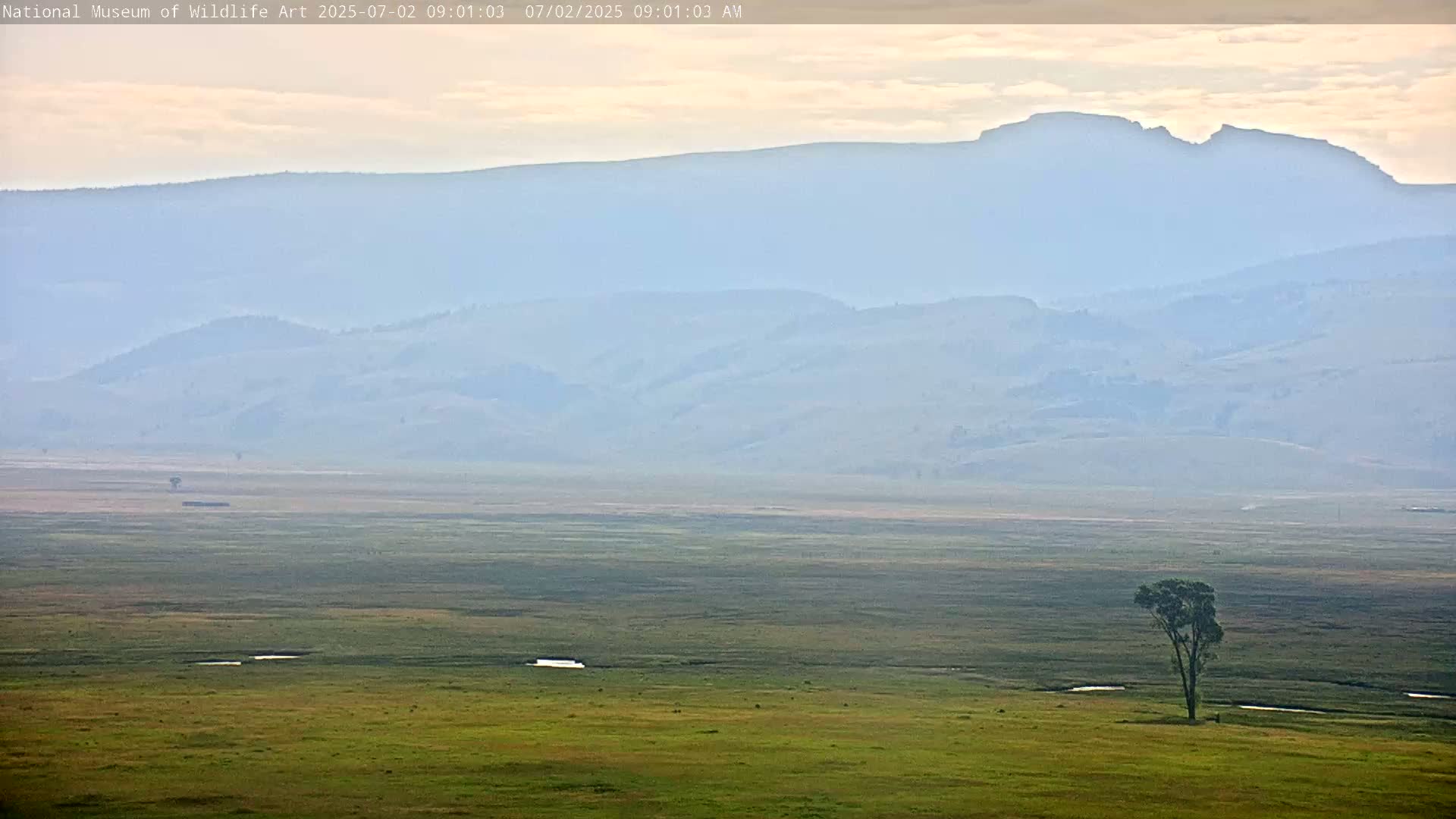 Jackson Hole, Elk Refuge from National Museum of Wildlife Art Live Cam -  Jackson, Teton, Wyoming, USA