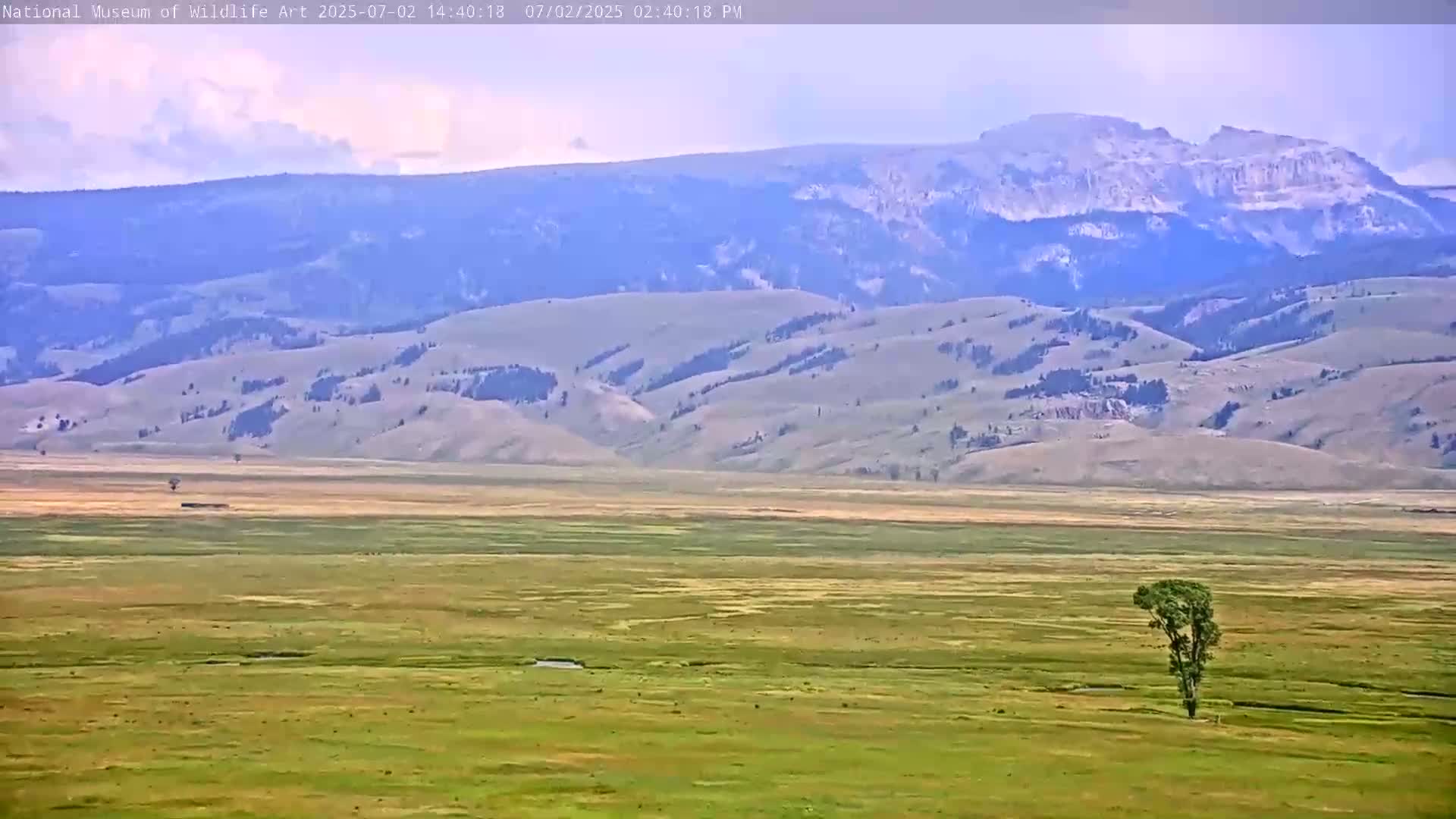 Jackson Hole, Elk Refuge from National Museum of Wildlife Art Live Cam -  Jackson, Teton, Wyoming, USA