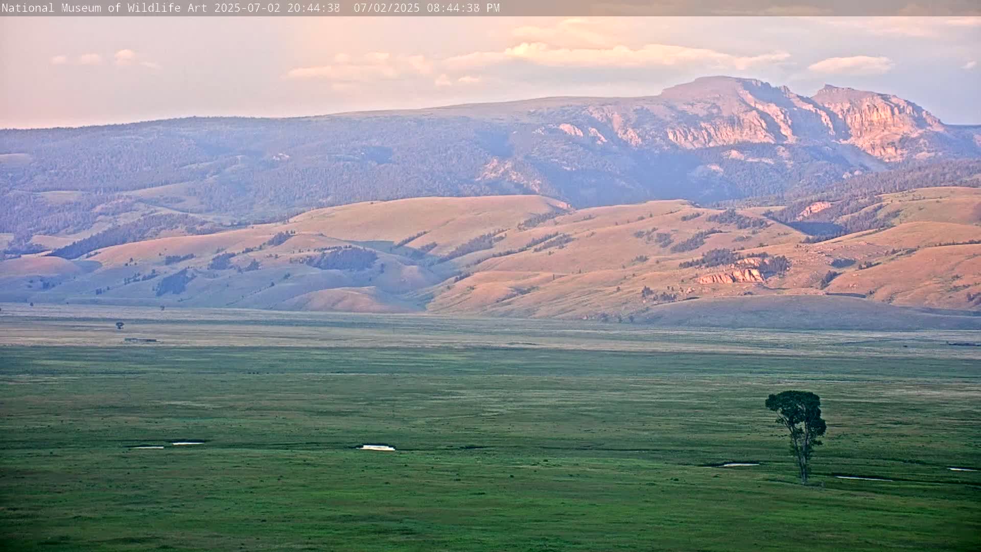 Jackson Hole, Elk Refuge from National Museum of Wildlife Art Live Cam -  Jackson, Teton, Wyoming, USA