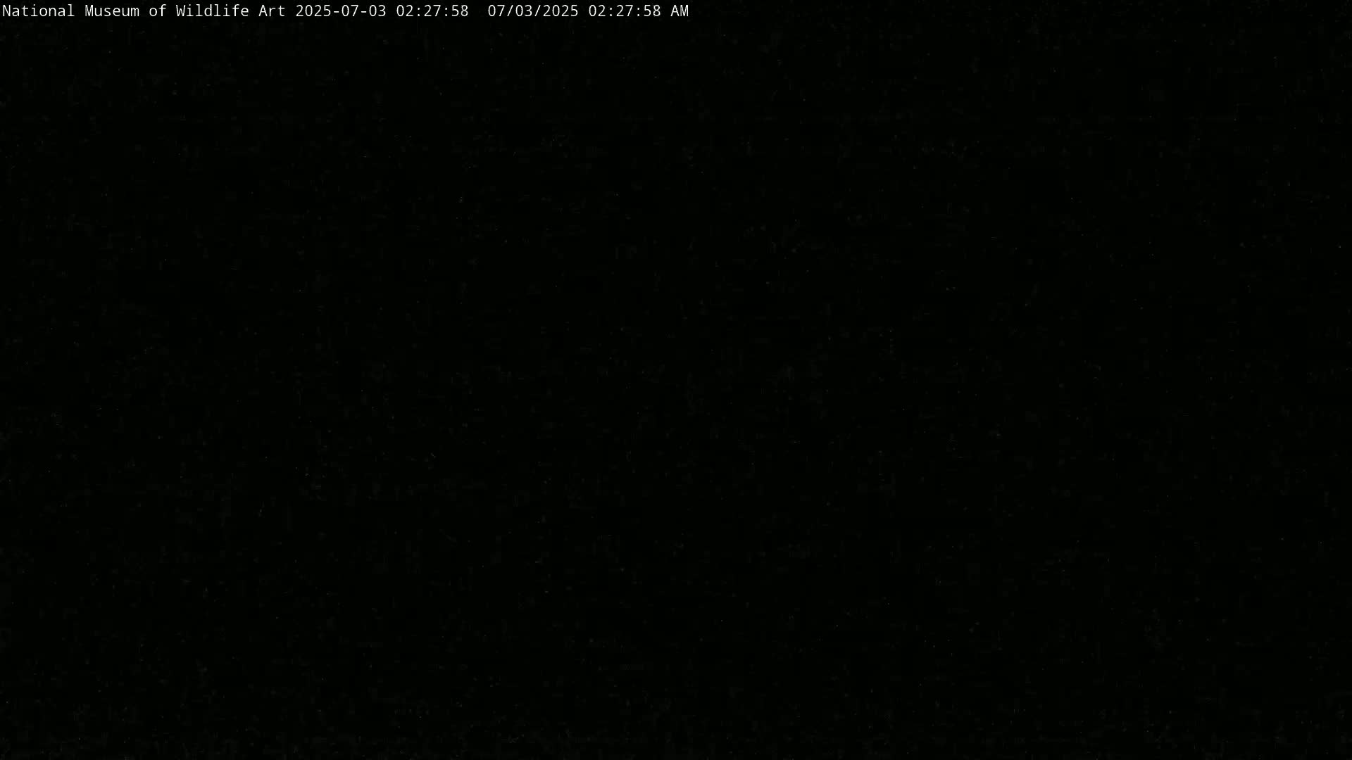 Jackson Hole, Elk Refuge from National Museum of Wildlife Art Live Cam -  Jackson, Teton, Wyoming, USA