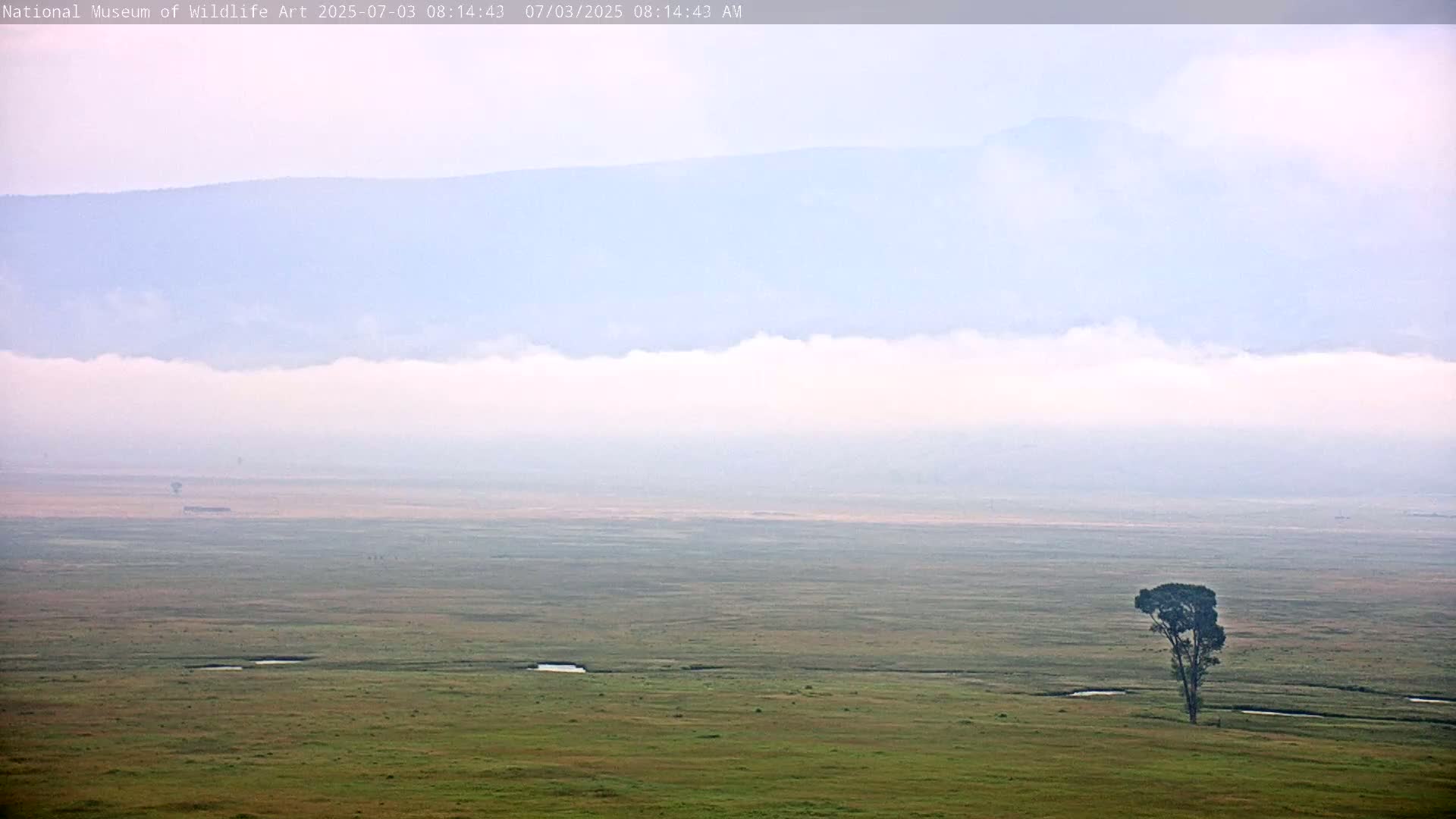 Jackson Hole, Elk Refuge from National Museum of Wildlife Art Live Cam -  Jackson, Teton, Wyoming, USA