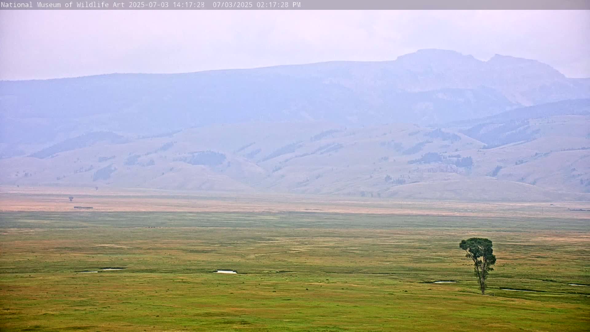 Jackson Hole, Elk Refuge from National Museum of Wildlife Art Live Cam -  Jackson, Teton, Wyoming, USA