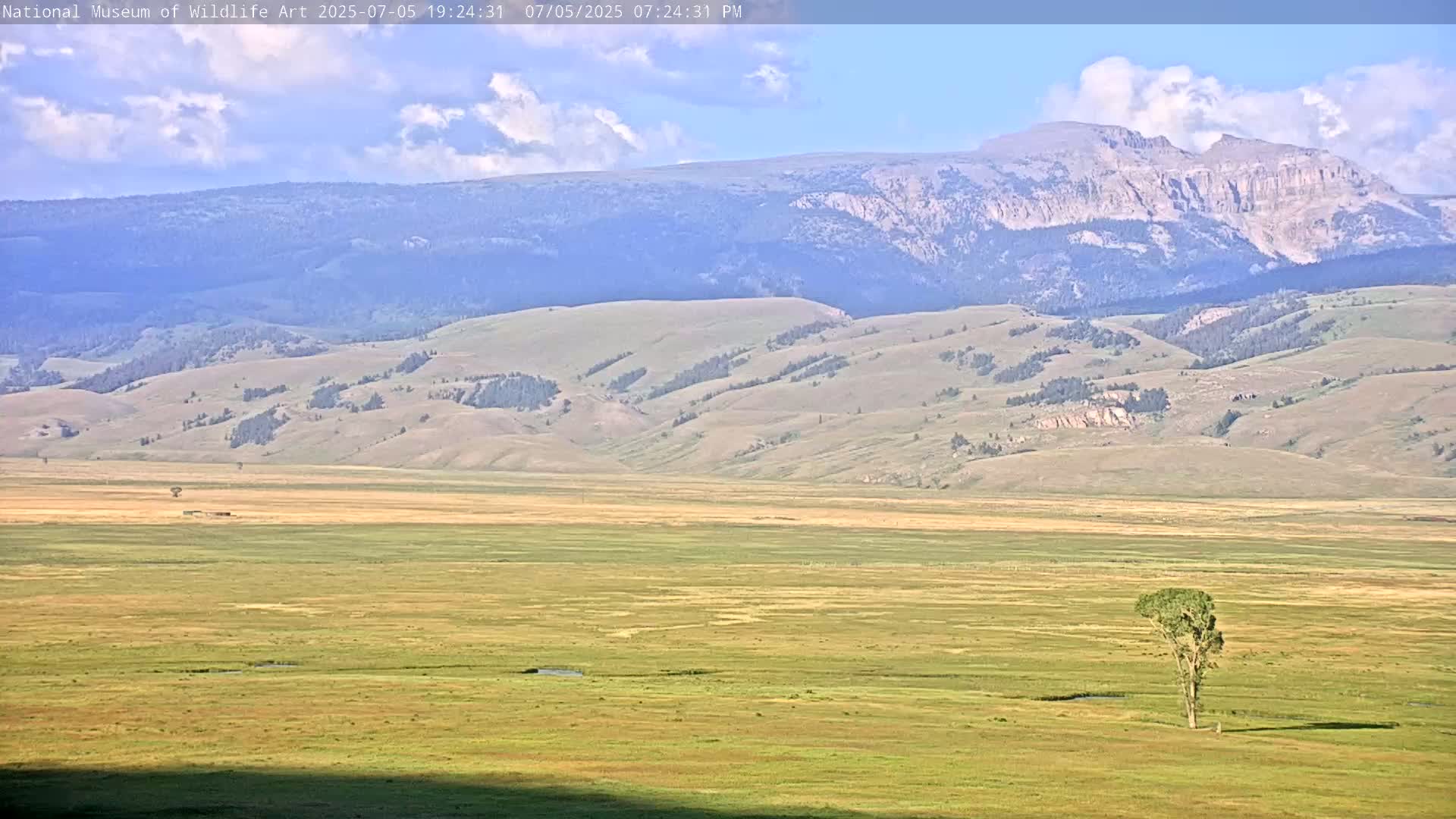 Jackson Hole, Elk Refuge from National Museum of Wildlife Art Live Cam -  Jackson, Teton, Wyoming, USA