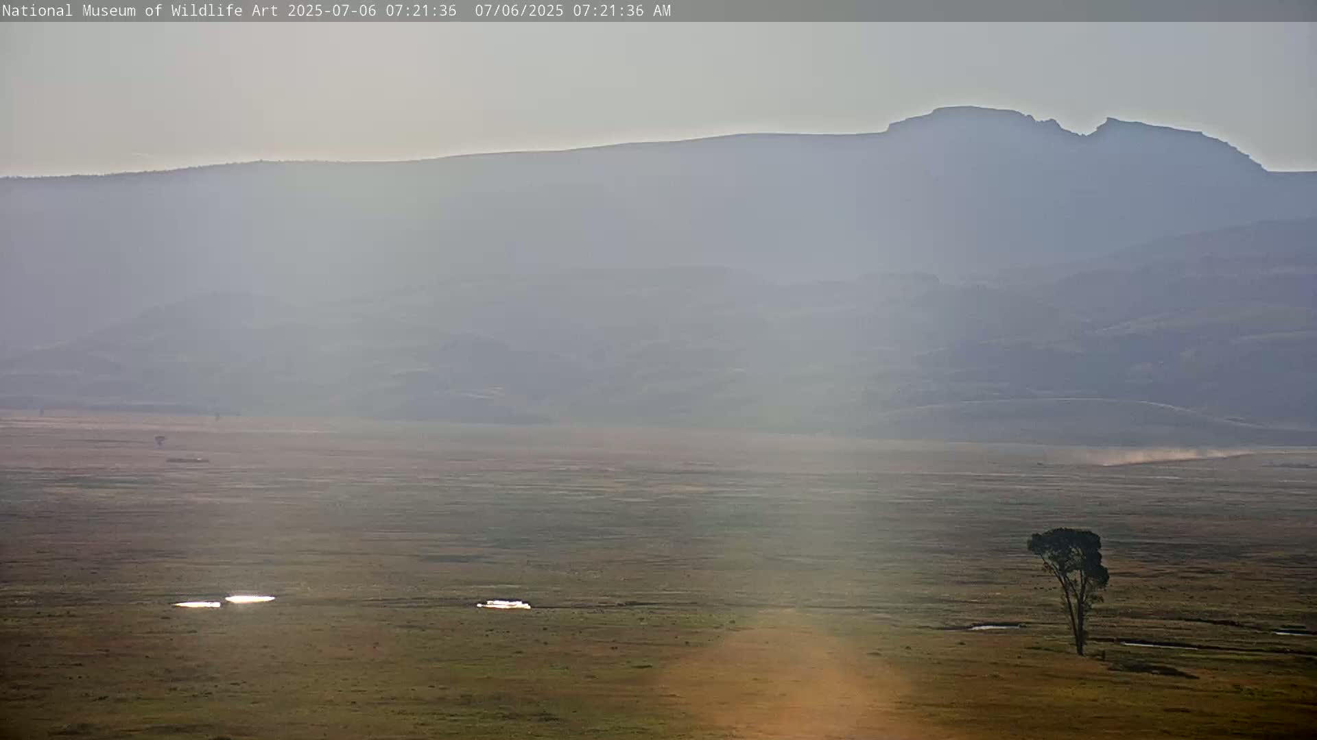 Jackson Hole, Elk Refuge from National Museum of Wildlife Art Live Cam -  Jackson, Teton, Wyoming, USA