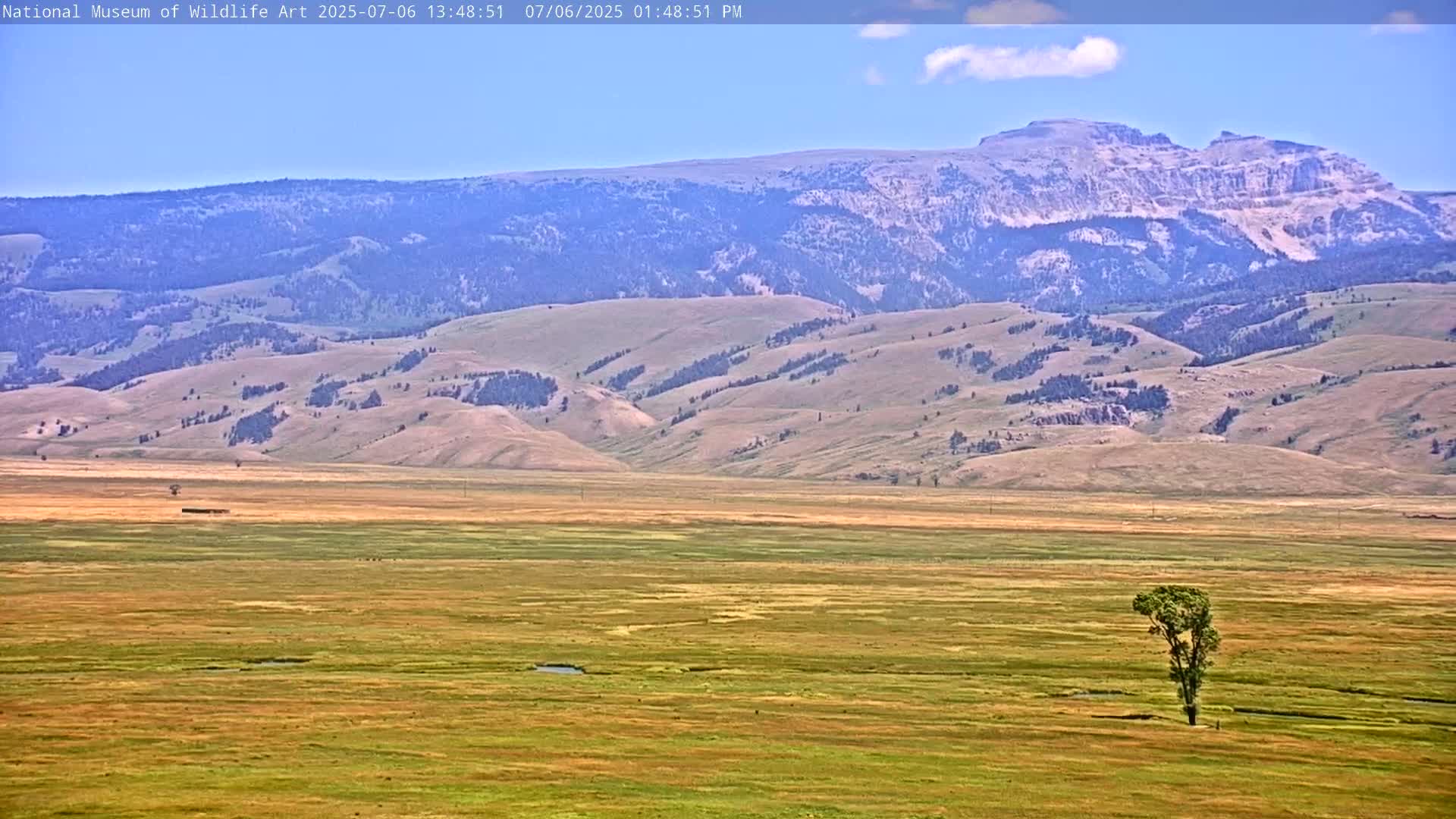 Jackson Hole, Elk Refuge from National Museum of Wildlife Art Live Cam -  Jackson, Teton, Wyoming, USA