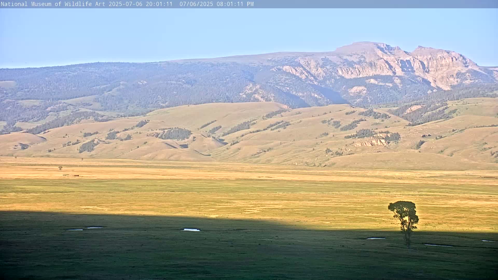 Jackson Hole, Elk Refuge from National Museum of Wildlife Art Live Cam -  Jackson, Teton, Wyoming, USA