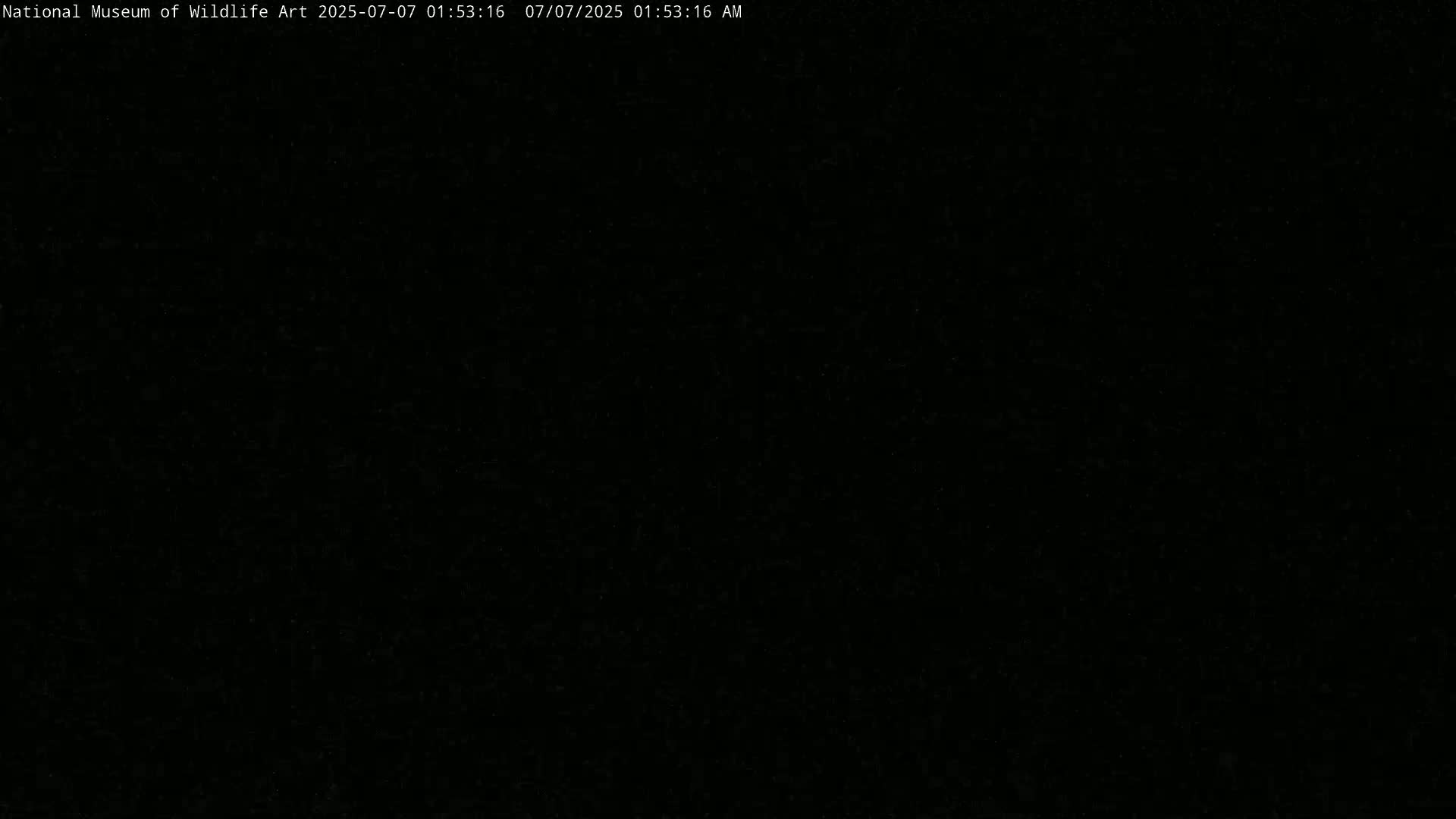 The image is entirely black.