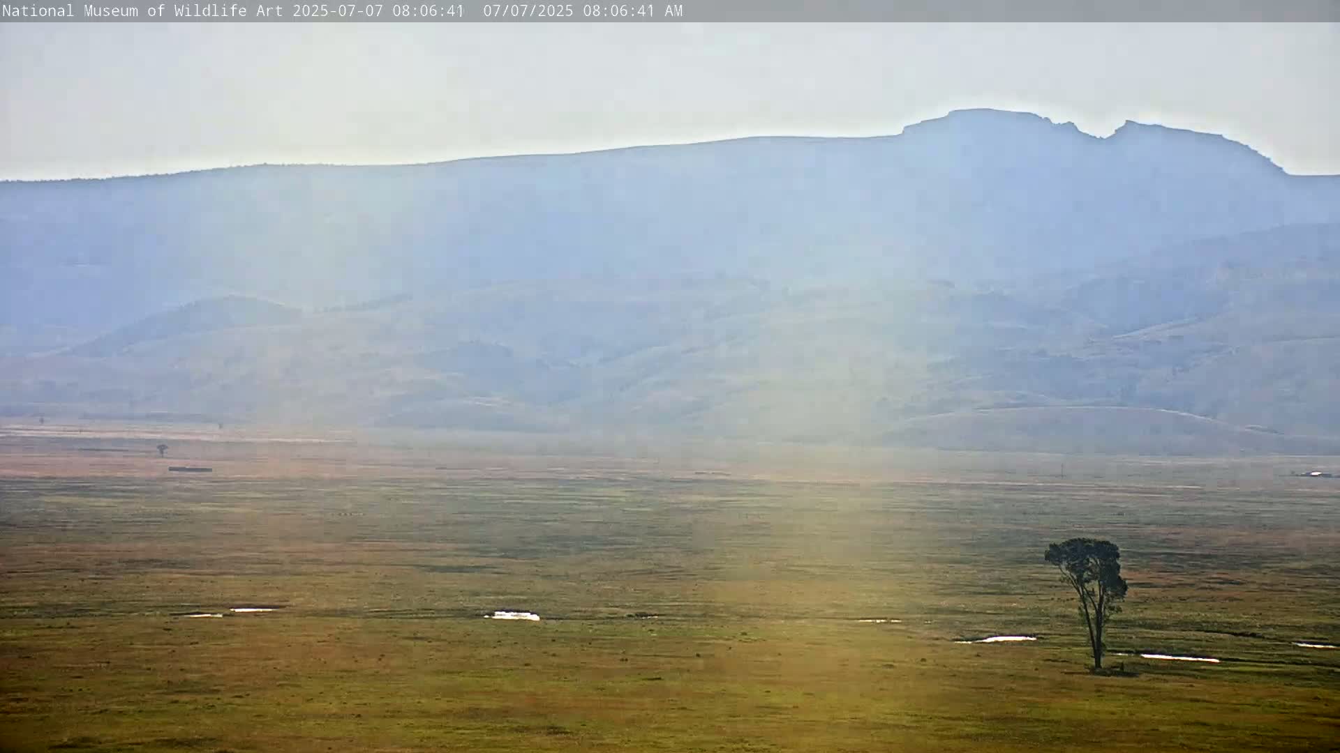 Jackson Hole, Elk Refuge from National Museum of Wildlife Art Live Cam -  Jackson, Teton, Wyoming, USA