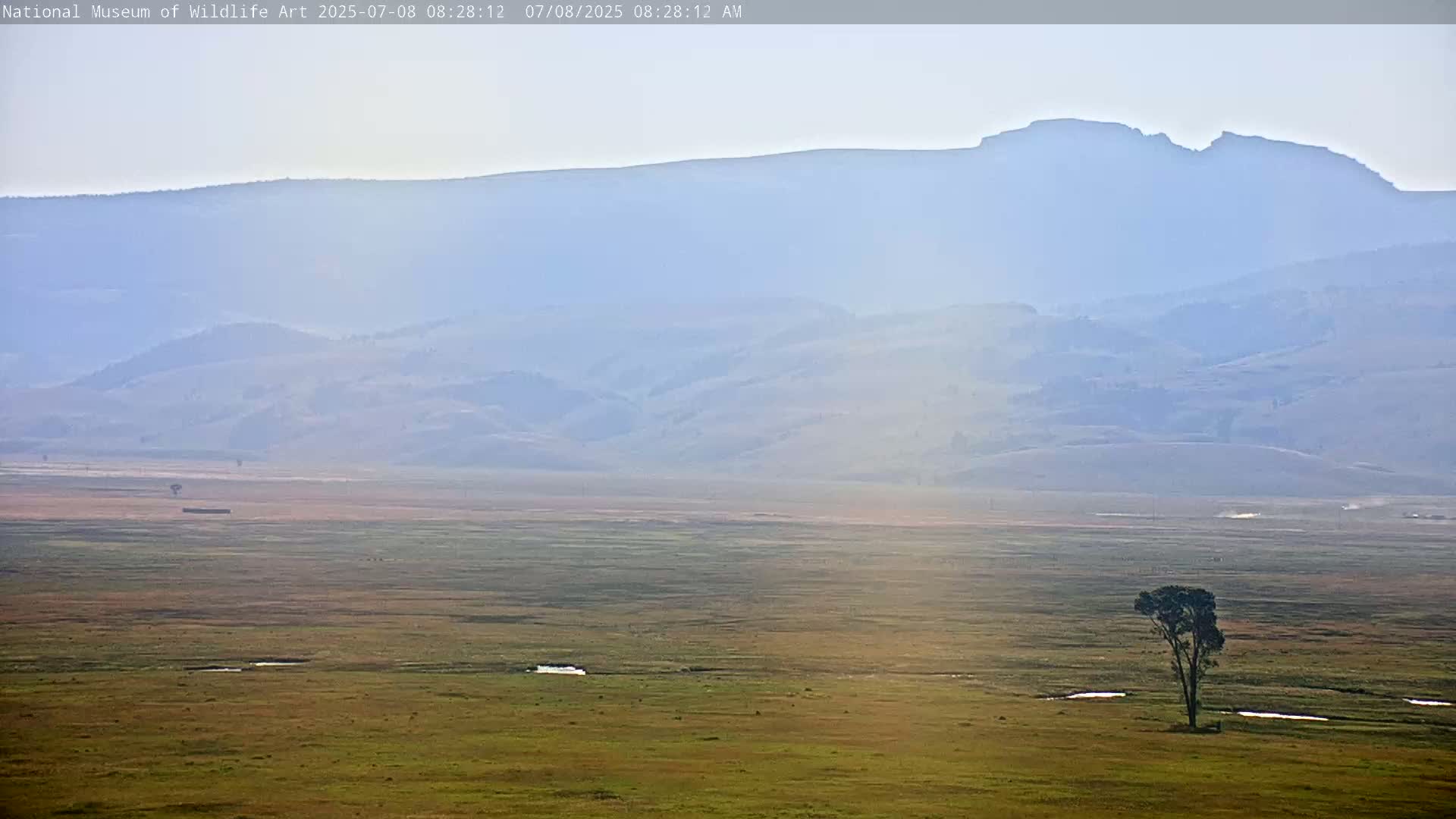 Jackson Hole, Elk Refuge from National Museum of Wildlife Art Live Cam -  Jackson, Teton, Wyoming, USA