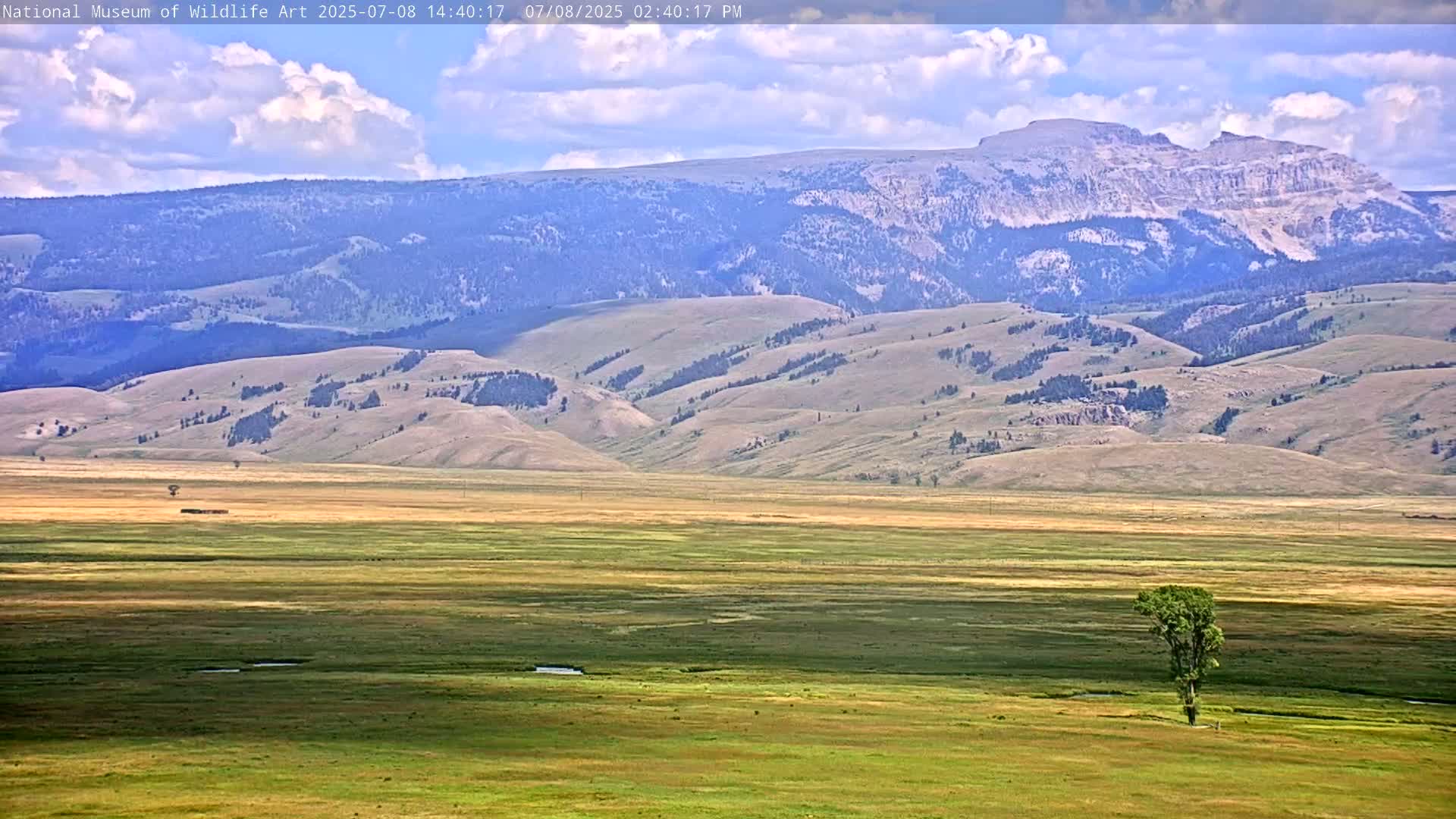 Jackson Hole, Elk Refuge from National Museum of Wildlife Art Live Cam -  Jackson, Teton, Wyoming, USA