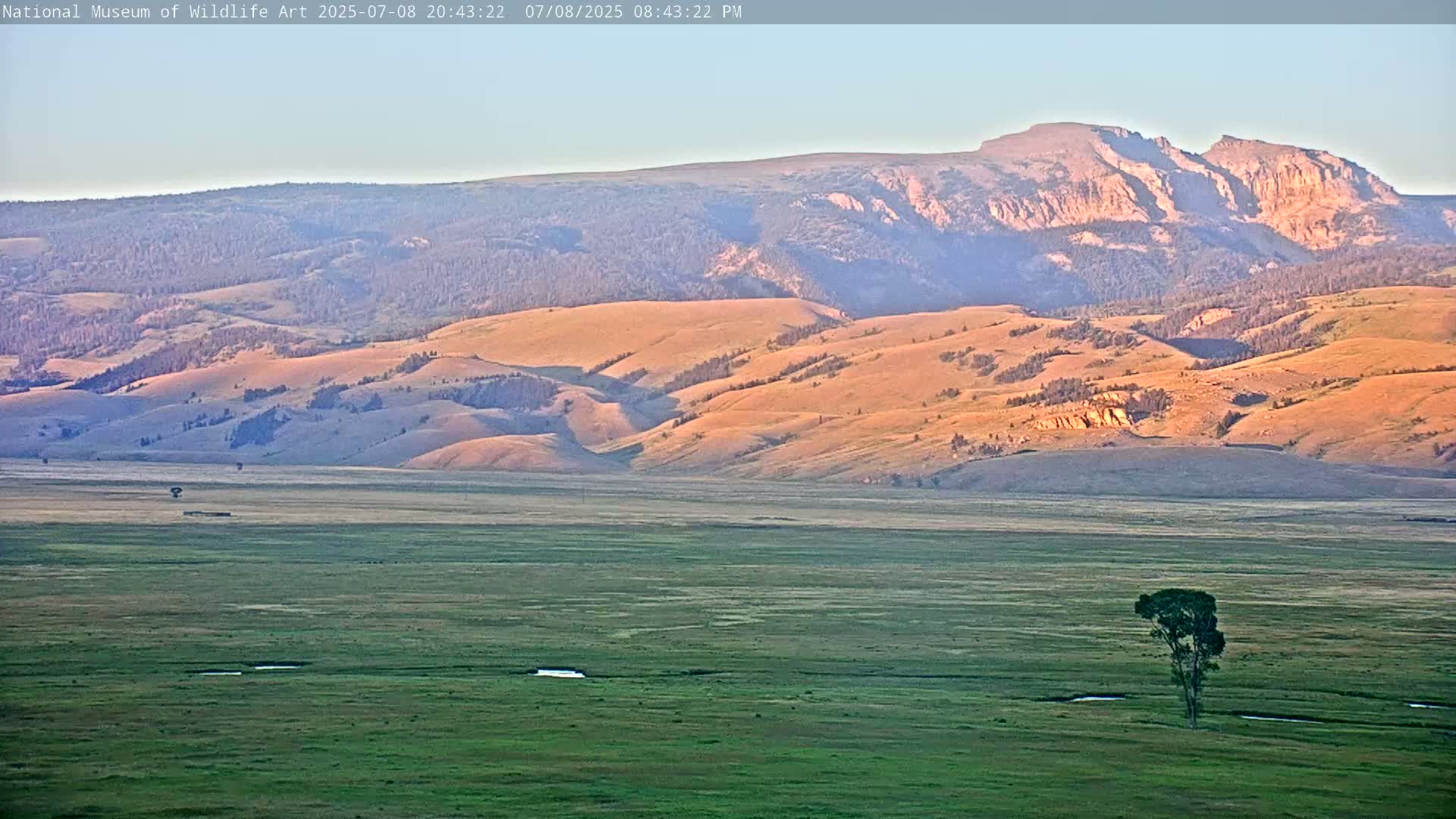 Jackson Hole, Elk Refuge from National Museum of Wildlife Art Live Cam -  Jackson, Teton, Wyoming, USA