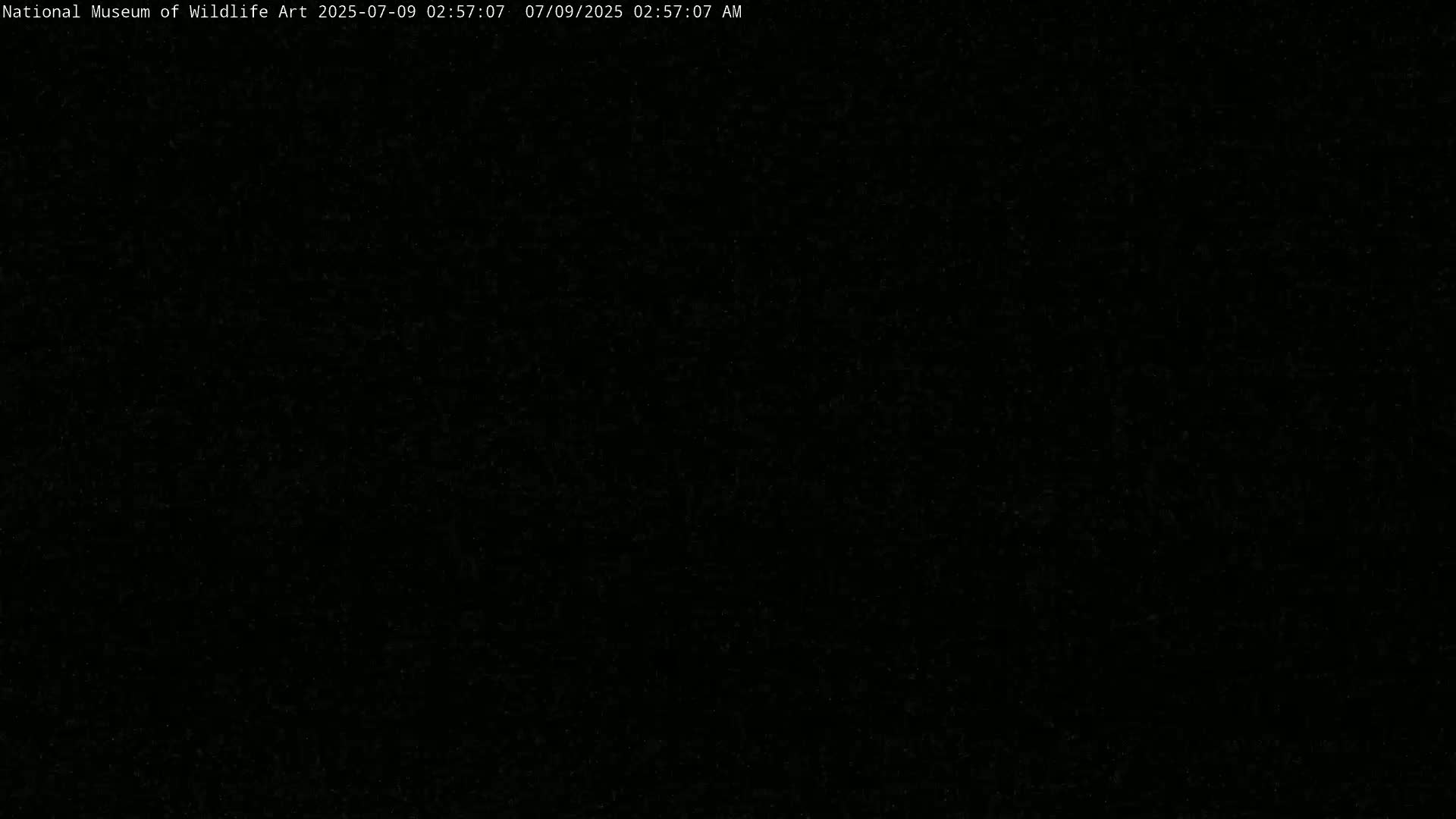 Jackson Hole, Elk Refuge from National Museum of Wildlife Art Live Cam -  Jackson, Teton, Wyoming, USA