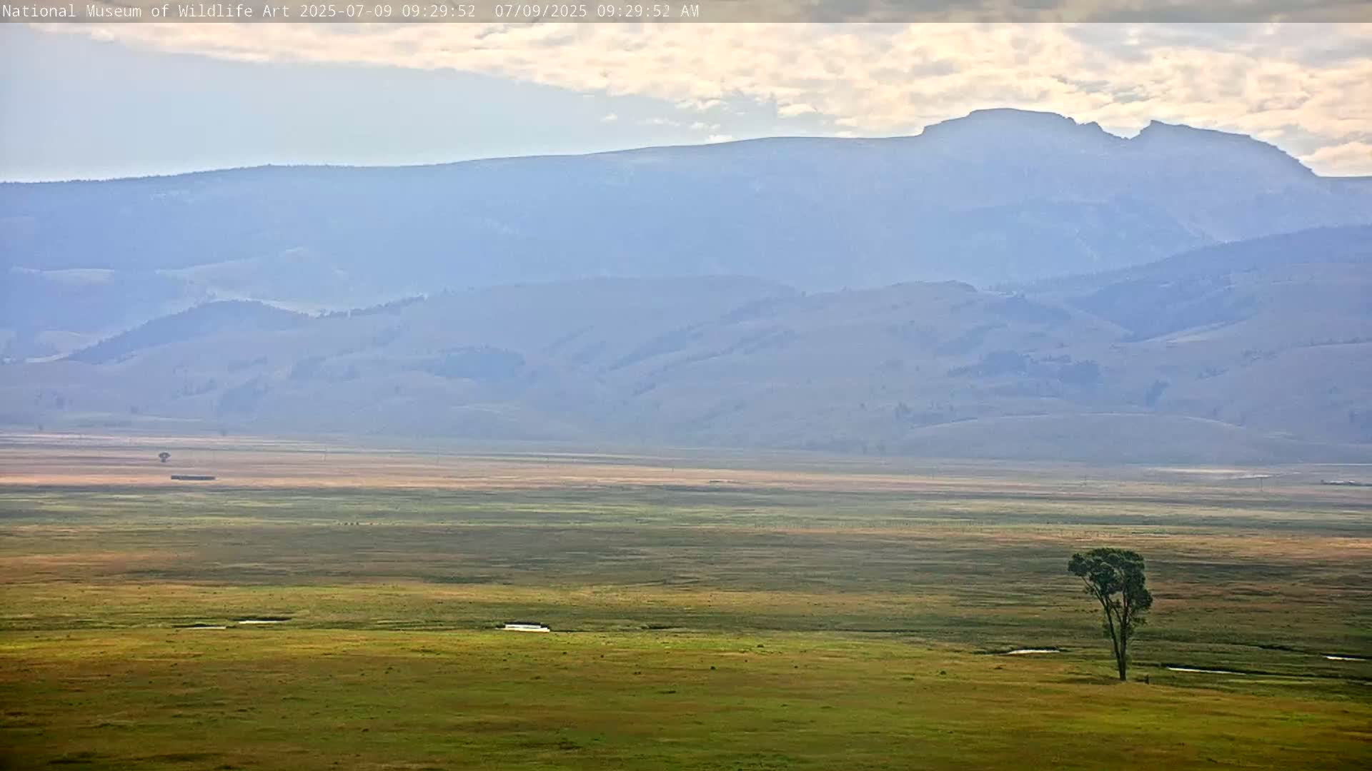 Jackson Hole, Elk Refuge from National Museum of Wildlife Art Live Cam -  Jackson, Teton, Wyoming, USA