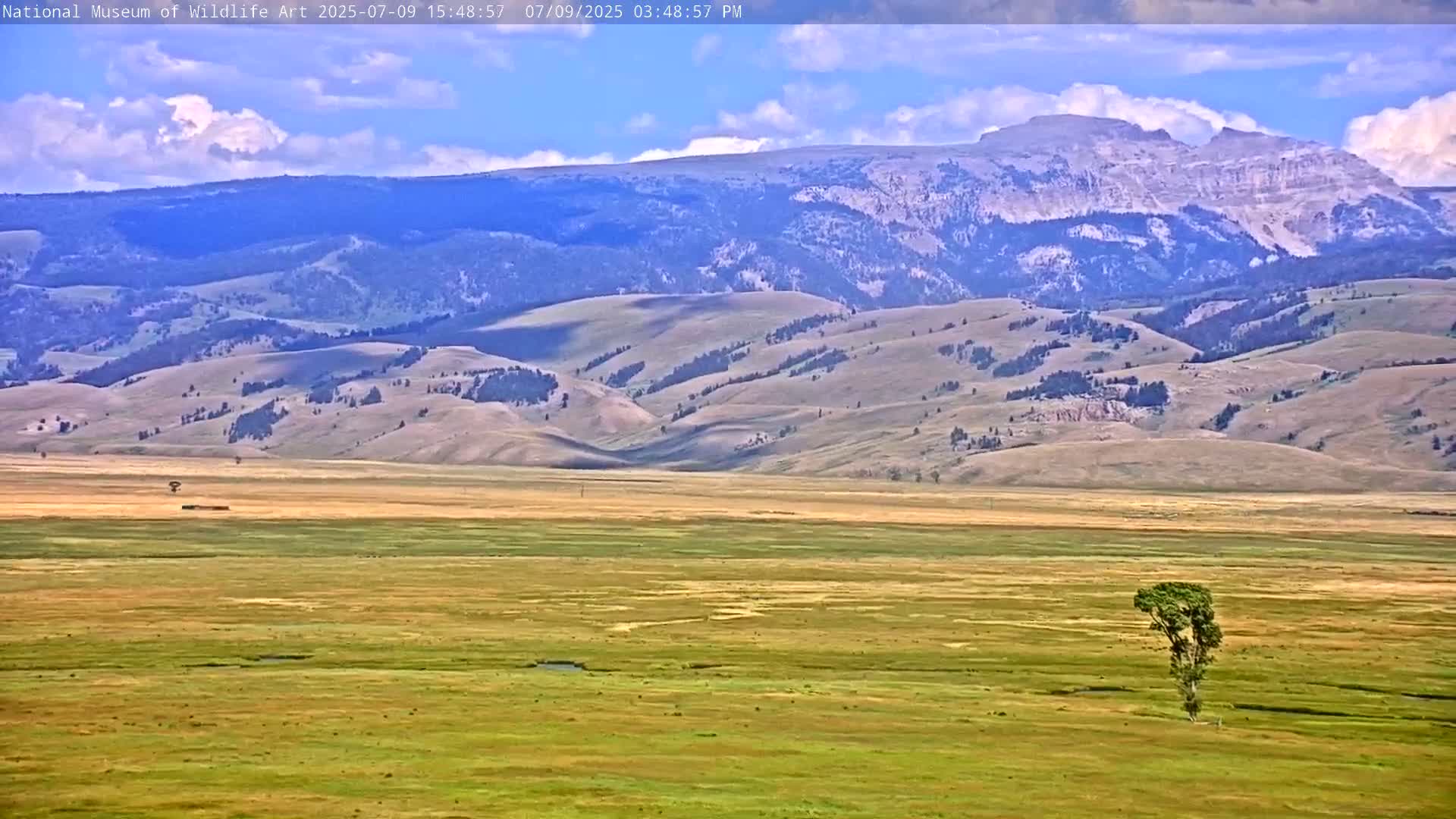 Jackson Hole, Elk Refuge from National Museum of Wildlife Art Live Cam -  Jackson, Teton, Wyoming, USA