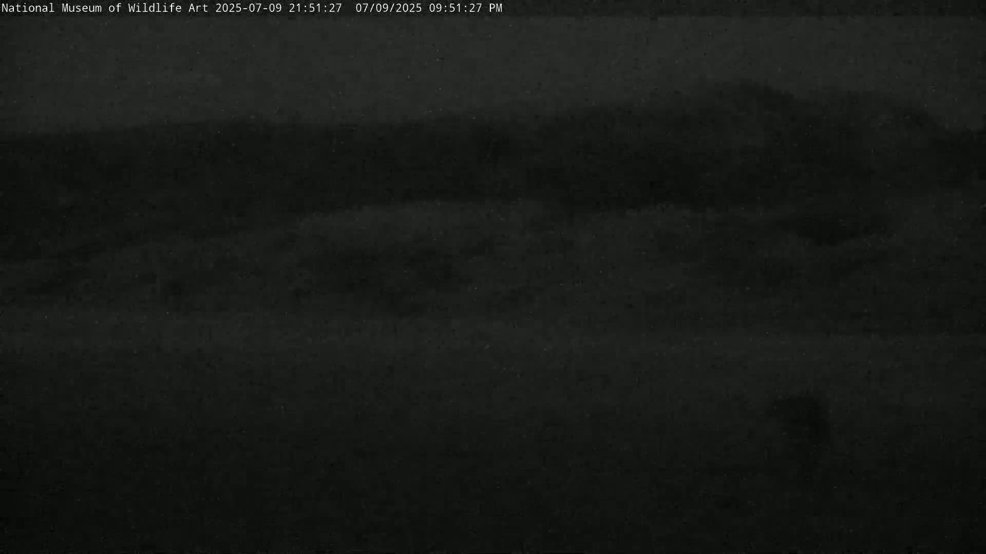 Jackson Hole, Elk Refuge from National Museum of Wildlife Art Live Cam -  Jackson, Teton, Wyoming, USA