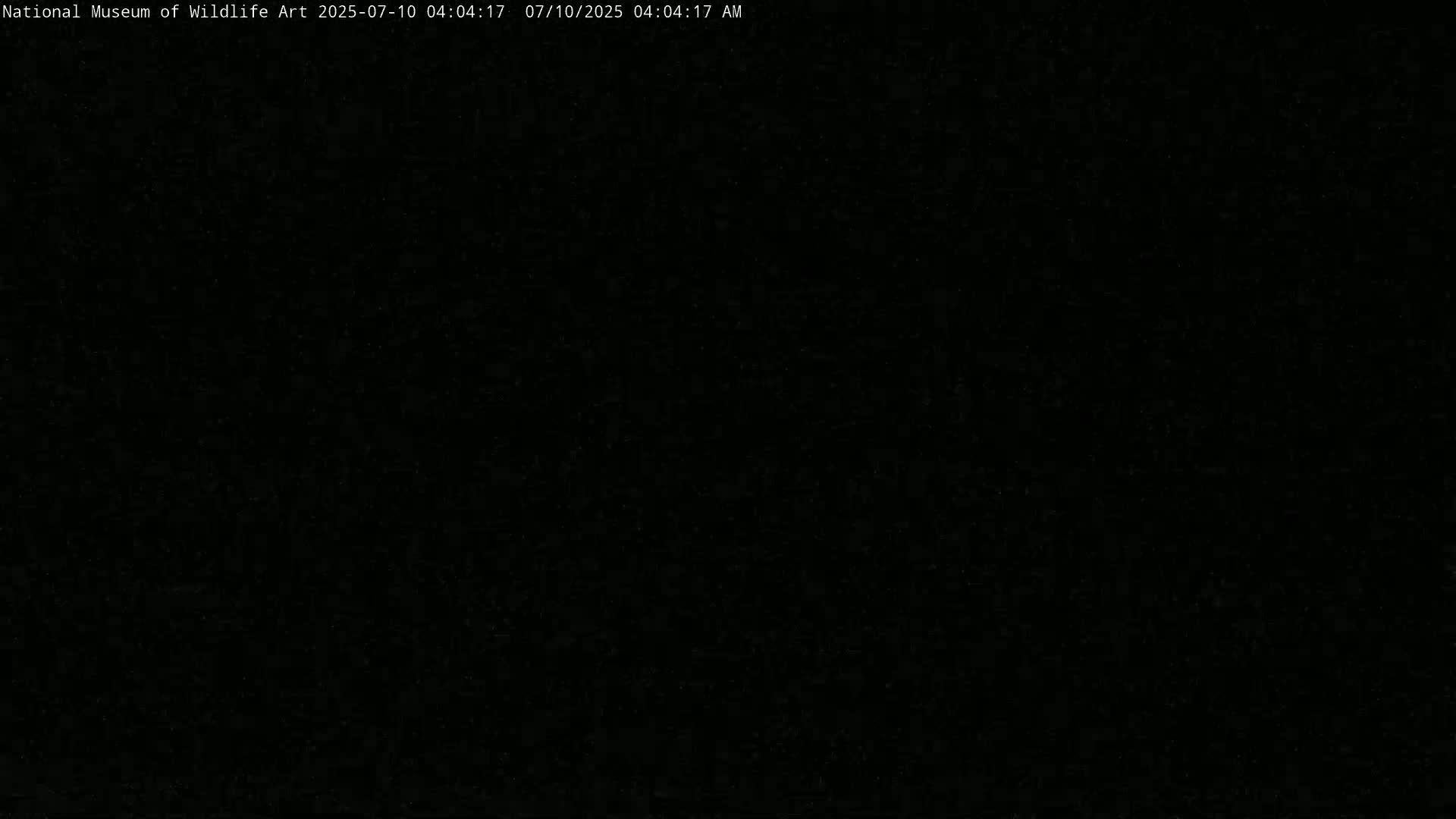 Jackson Hole, Elk Refuge from National Museum of Wildlife Art Live Cam -  Jackson, Teton, Wyoming, USA