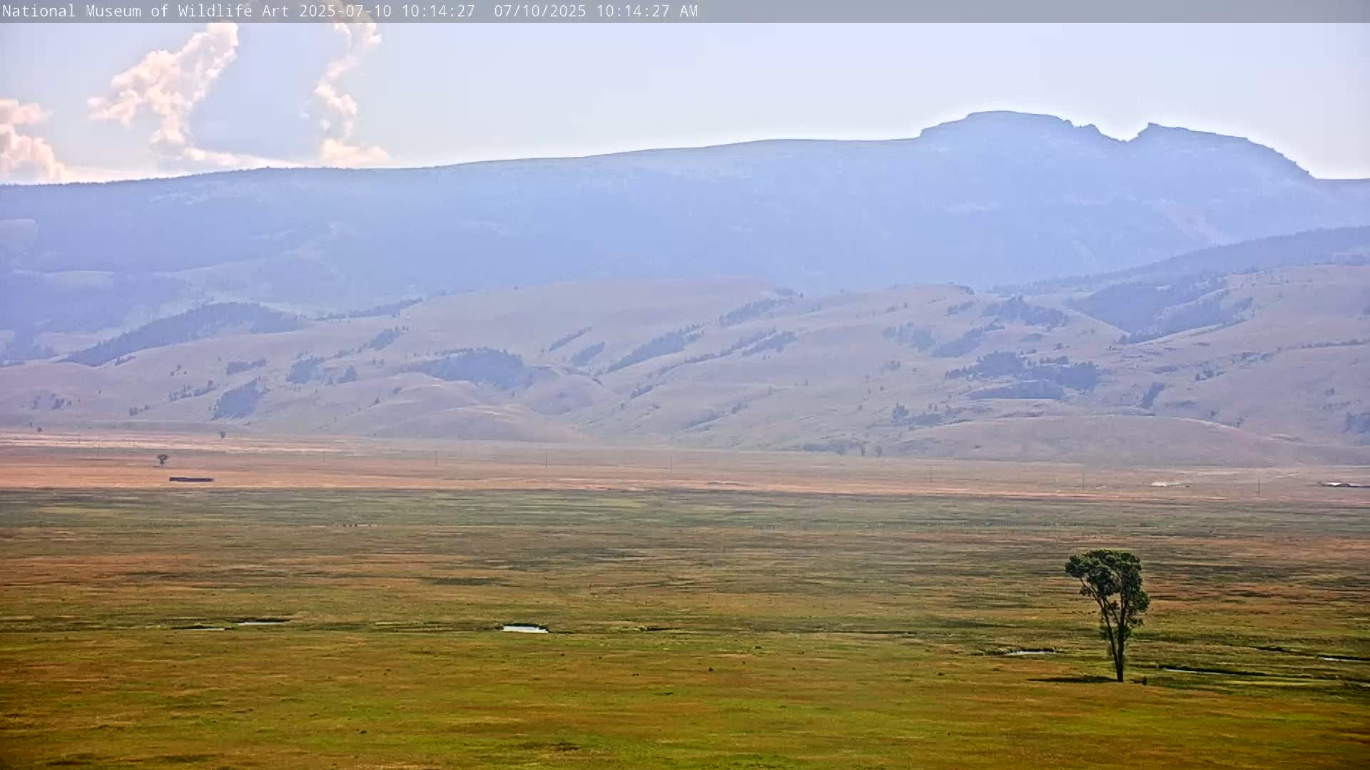 Jackson Hole, Elk Refuge from National Museum of Wildlife Art Live Cam -  Jackson, Teton, Wyoming, USA