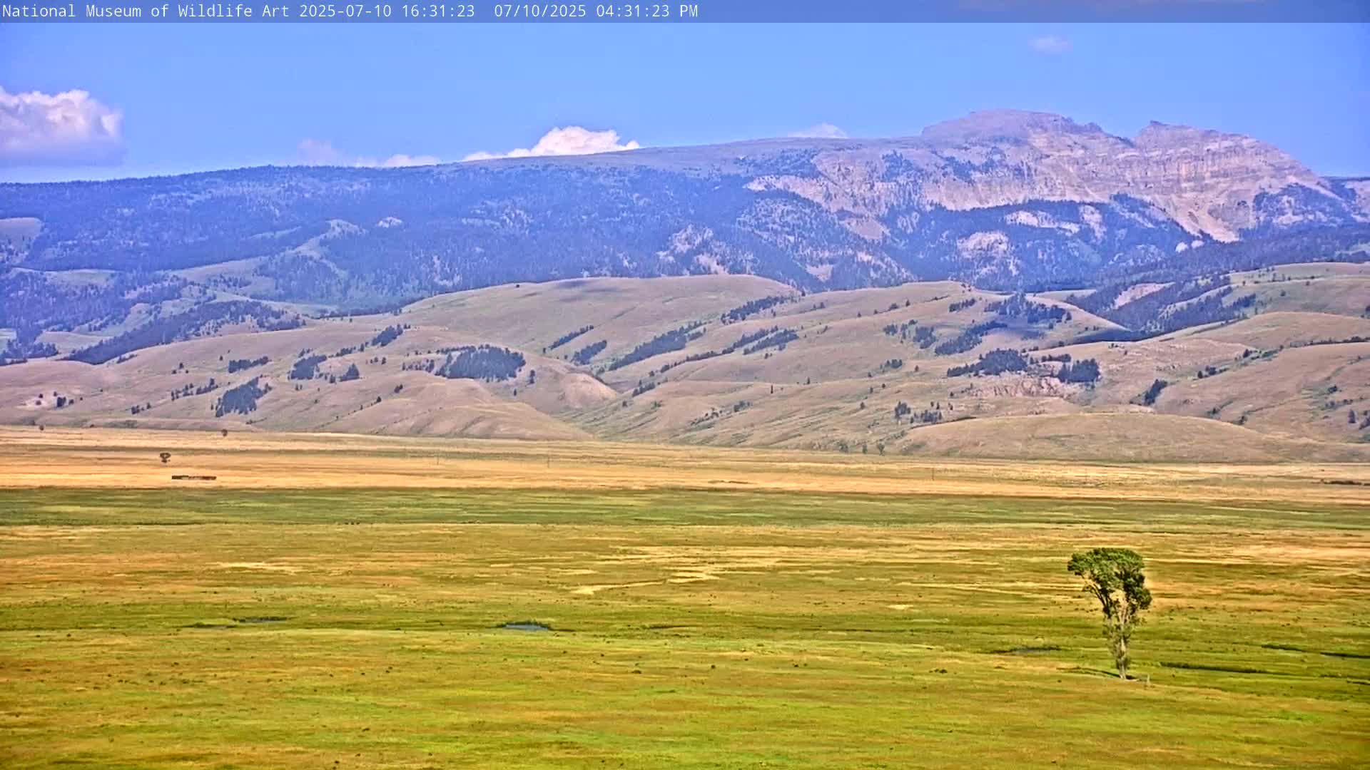 Jackson Hole, Elk Refuge from National Museum of Wildlife Art Live Cam -  Jackson, Teton, Wyoming, USA