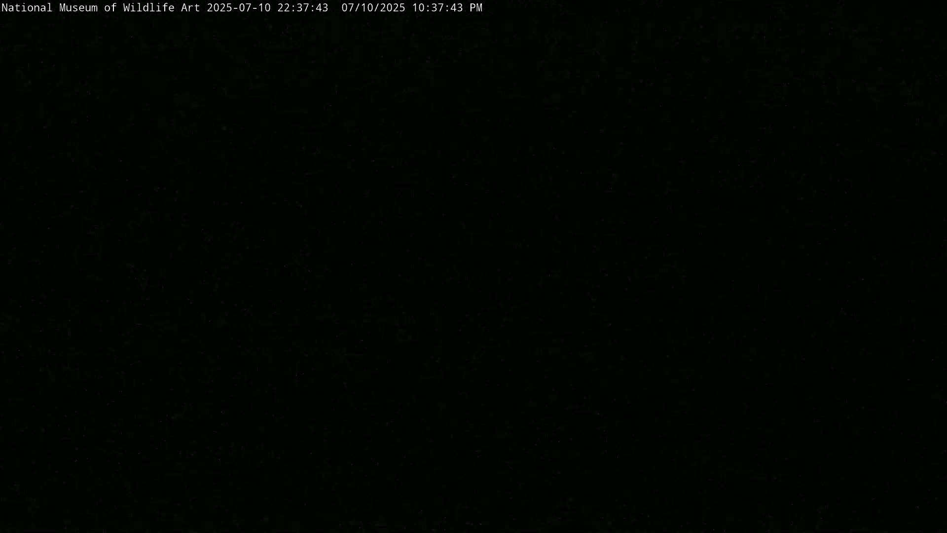 Jackson Hole, Elk Refuge from National Museum of Wildlife Art Live Cam -  Jackson, Teton, Wyoming, USA