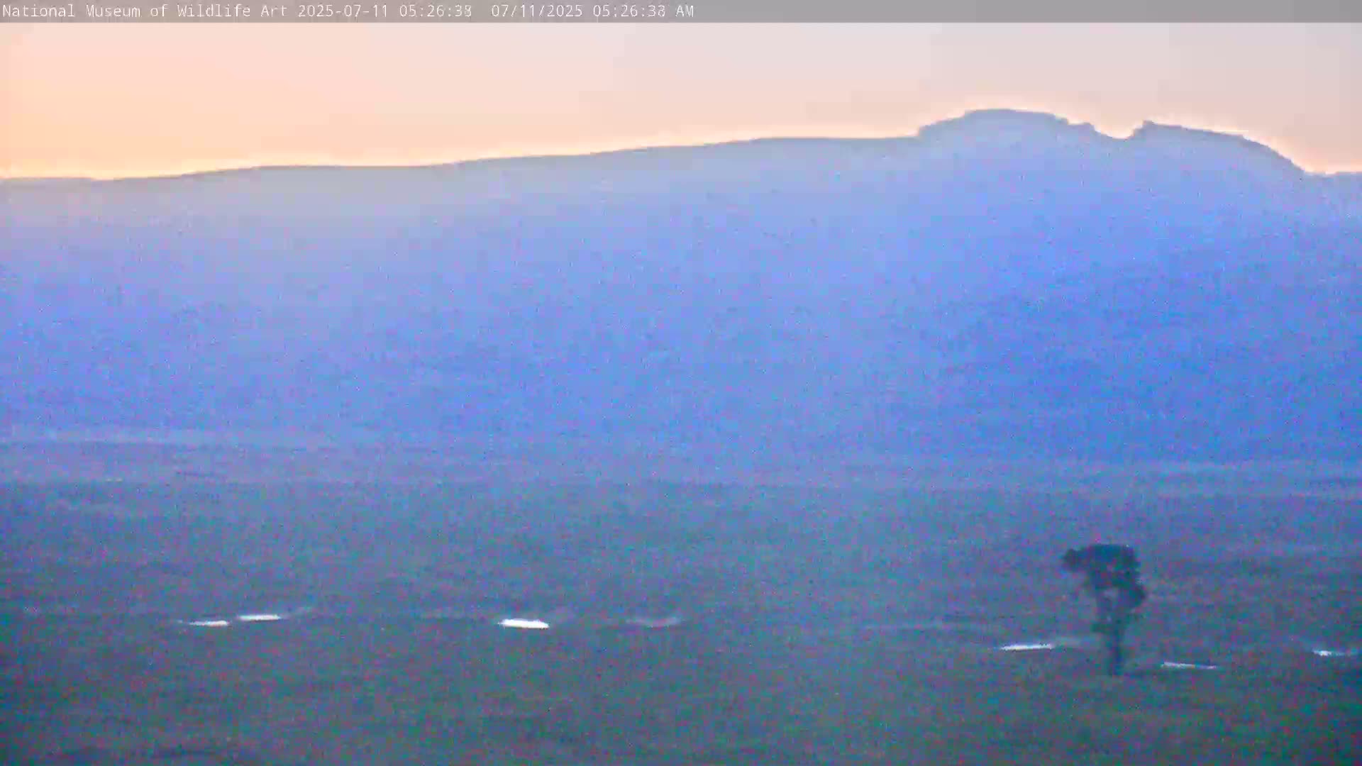 Jackson Hole, Elk Refuge from National Museum of Wildlife Art Live Cam -  Jackson, Teton, Wyoming, USA