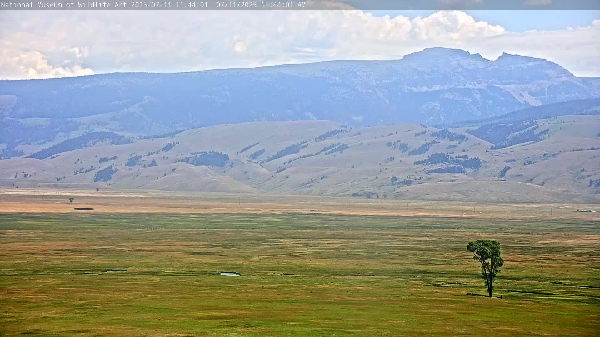 Jackson Hole, Elk Refuge from National Museum of Wildlife Art Live Cam -  Jackson, Teton, Wyoming, USA