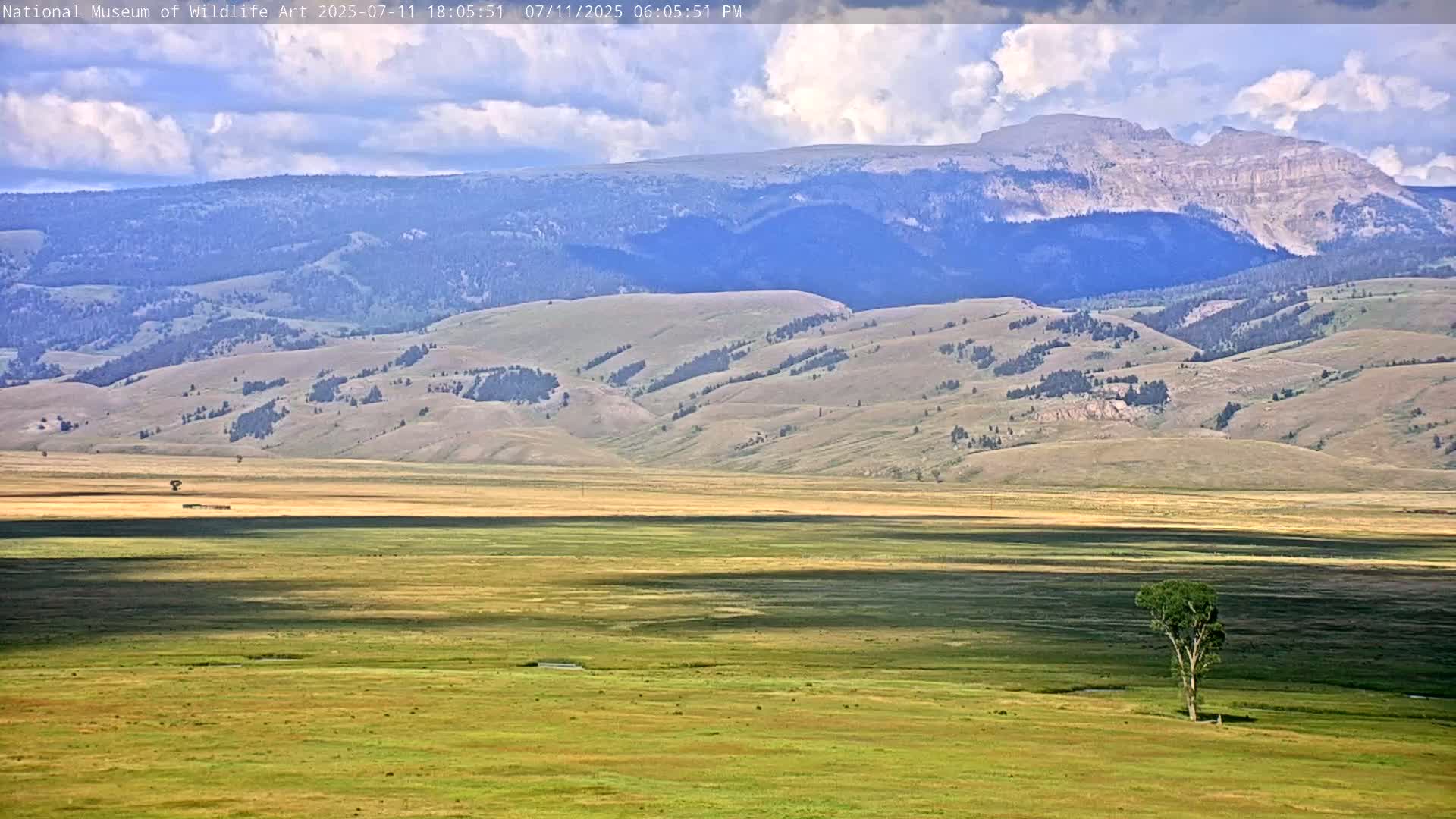 Jackson Hole, Elk Refuge from National Museum of Wildlife Art Live Cam -  Jackson, Teton, Wyoming, USA