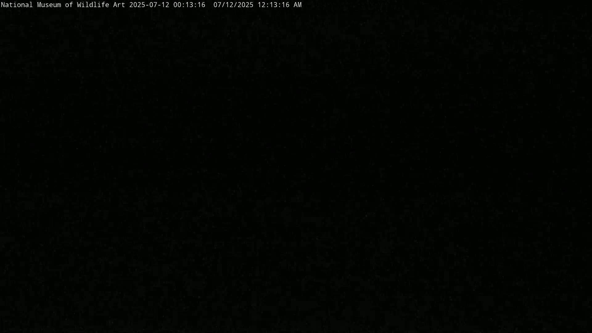 Jackson Hole, Elk Refuge from National Museum of Wildlife Art Live Cam -  Jackson, Teton, Wyoming, USA