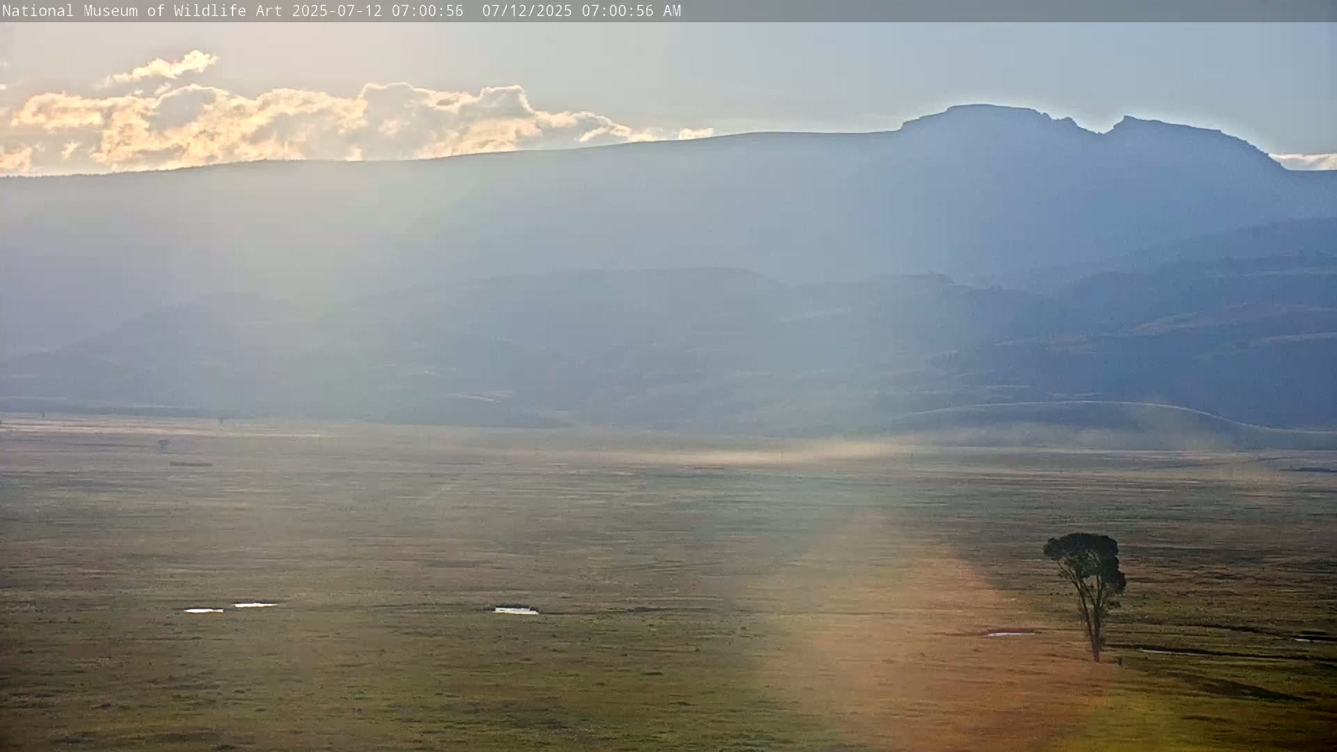 Jackson Hole, Elk Refuge from National Museum of Wildlife Art Live Cam -  Jackson, Teton, Wyoming, USA