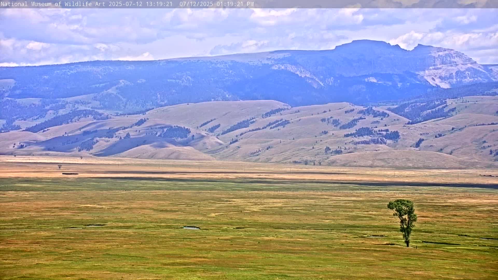 Jackson Hole, Elk Refuge from National Museum of Wildlife Art Live Cam -  Jackson, Teton, Wyoming, USA