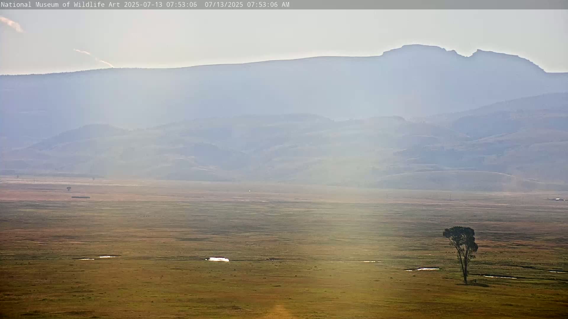 Jackson Hole, Elk Refuge from National Museum of Wildlife Art Live Cam -  Jackson, Teton, Wyoming, USA