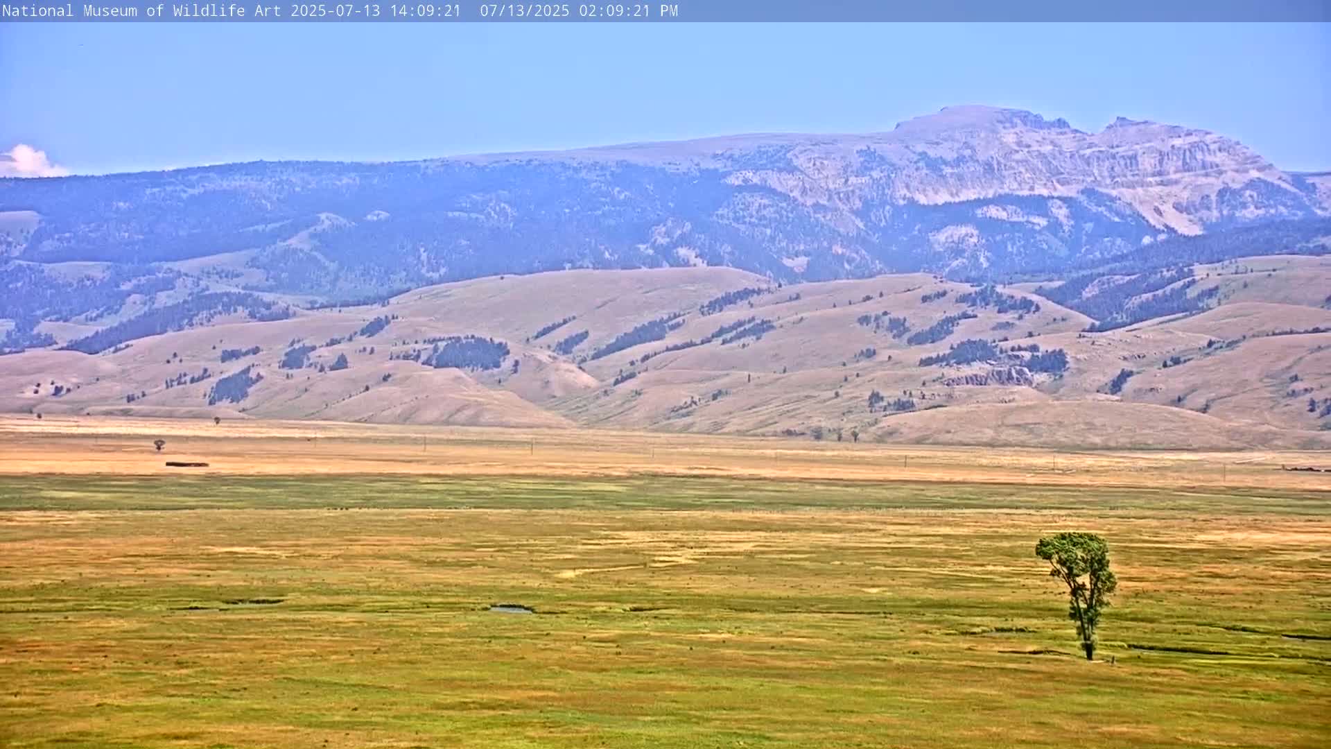 Jackson Hole, Elk Refuge from National Museum of Wildlife Art Live Cam -  Jackson, Teton, Wyoming, USA