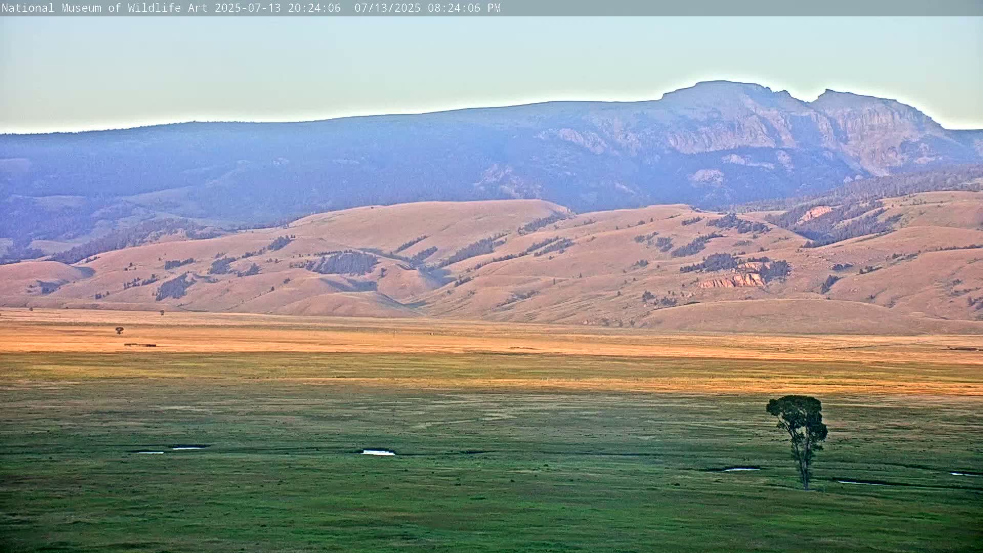 Jackson Hole, Elk Refuge from National Museum of Wildlife Art Live Cam -  Jackson, Teton, Wyoming, USA