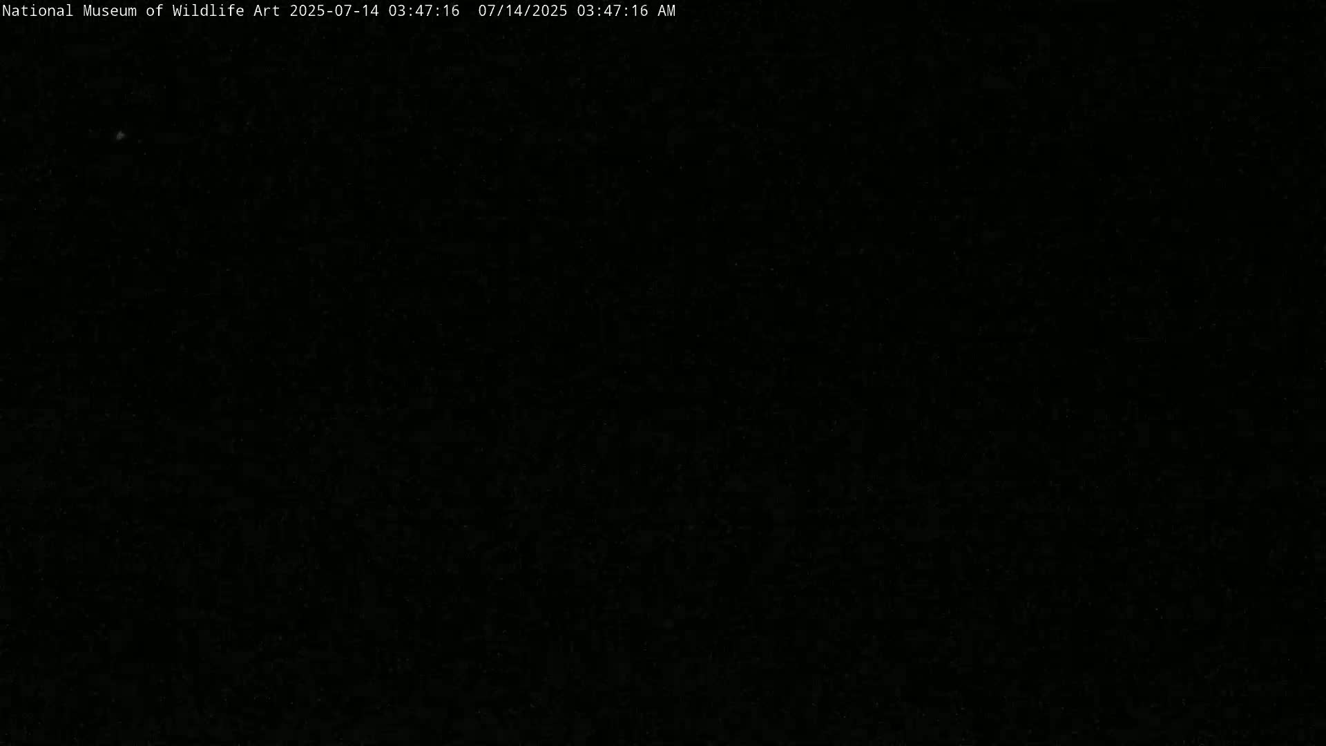 Jackson Hole, Elk Refuge from National Museum of Wildlife Art Live Cam -  Jackson, Teton, Wyoming, USA