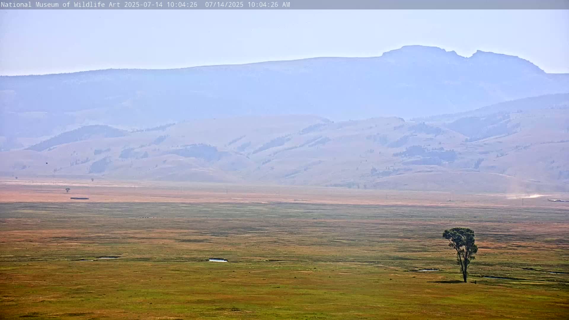 Jackson Hole, Elk Refuge from National Museum of Wildlife Art Live Cam -  Jackson, Teton, Wyoming, USA