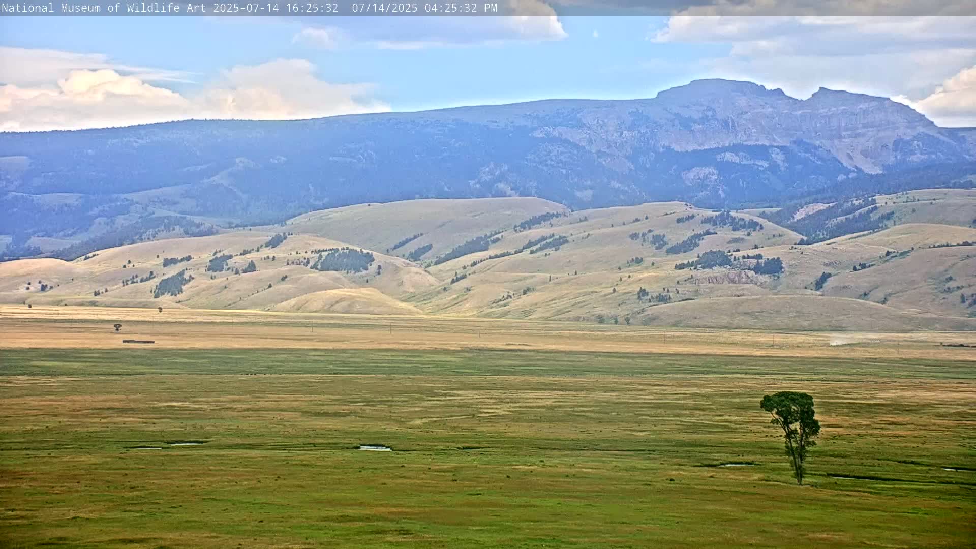 Jackson Hole, Elk Refuge from National Museum of Wildlife Art Live Cam -  Jackson, Teton, Wyoming, USA