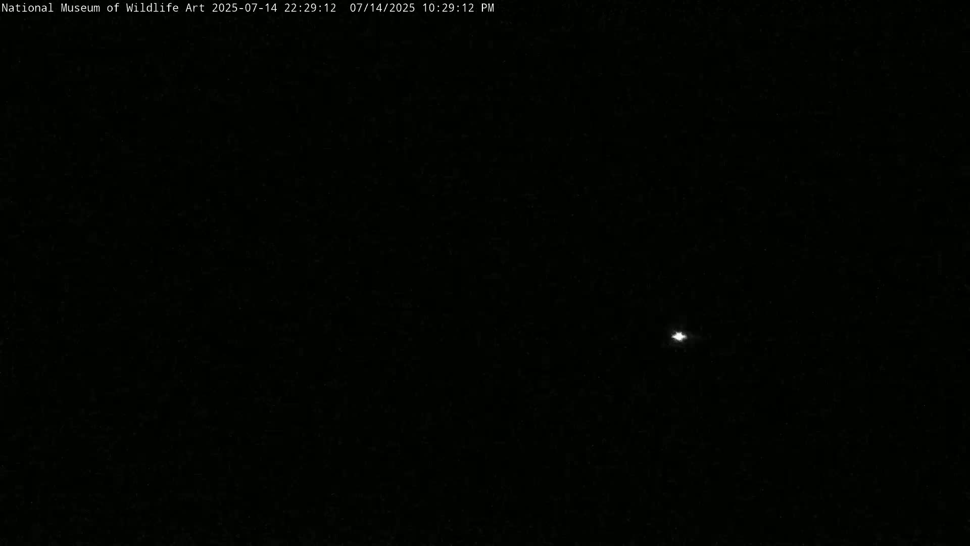 Jackson Hole, Elk Refuge from National Museum of Wildlife Art Live Cam -  Jackson, Teton, Wyoming, USA