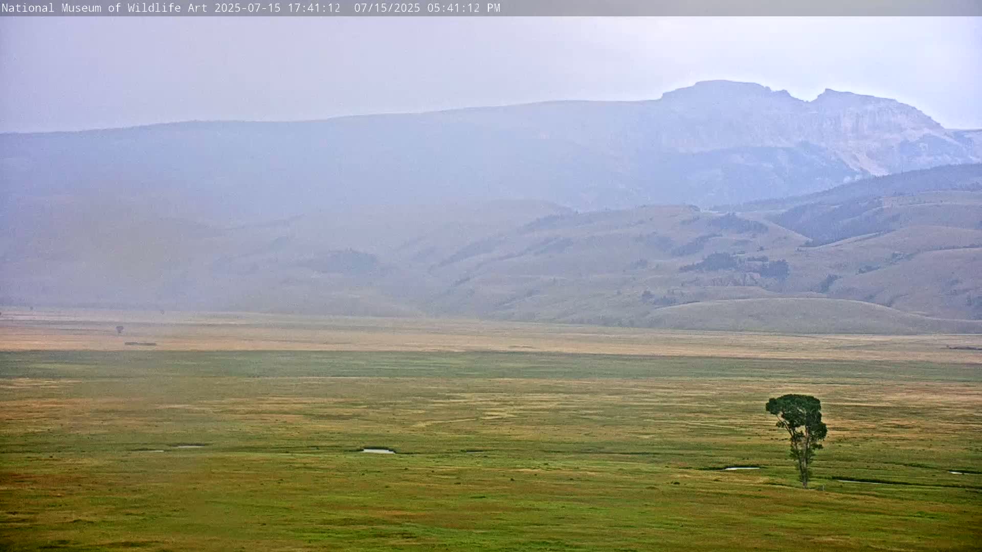Jackson Hole, Elk Refuge from National Museum of Wildlife Art Live Cam -  Jackson, Teton, Wyoming, USA
