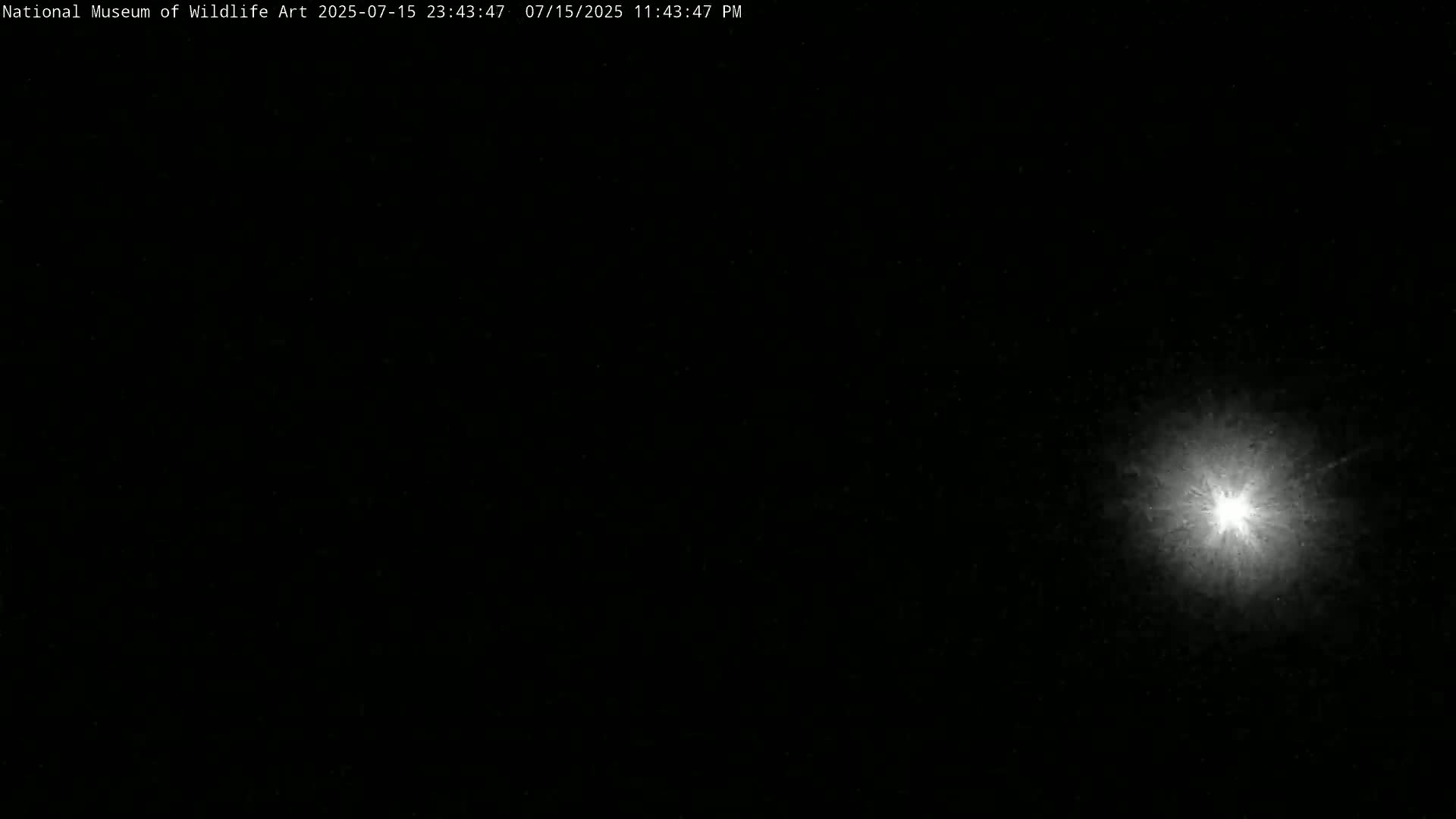 Jackson Hole, Elk Refuge from National Museum of Wildlife Art Live Cam -  Jackson, Teton, Wyoming, USA