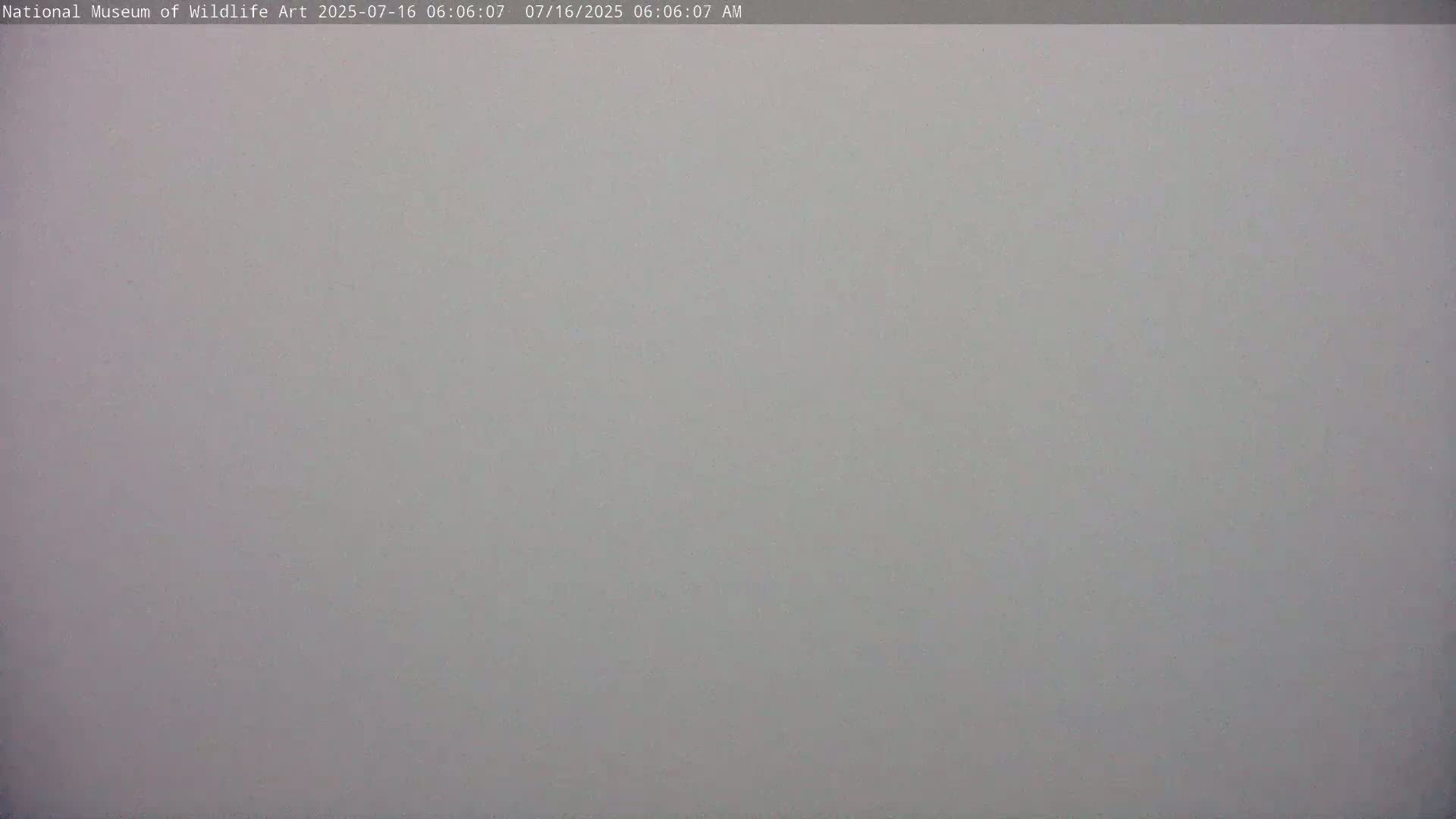 Jackson Hole, Elk Refuge from National Museum of Wildlife Art Live Cam -  Jackson, Teton, Wyoming, USA