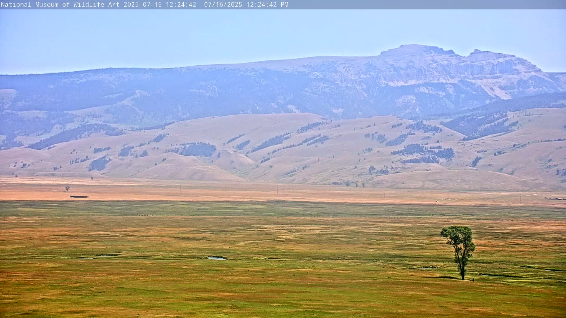Jackson Hole, Elk Refuge from National Museum of Wildlife Art Live Cam -  Jackson, Teton, Wyoming, USA