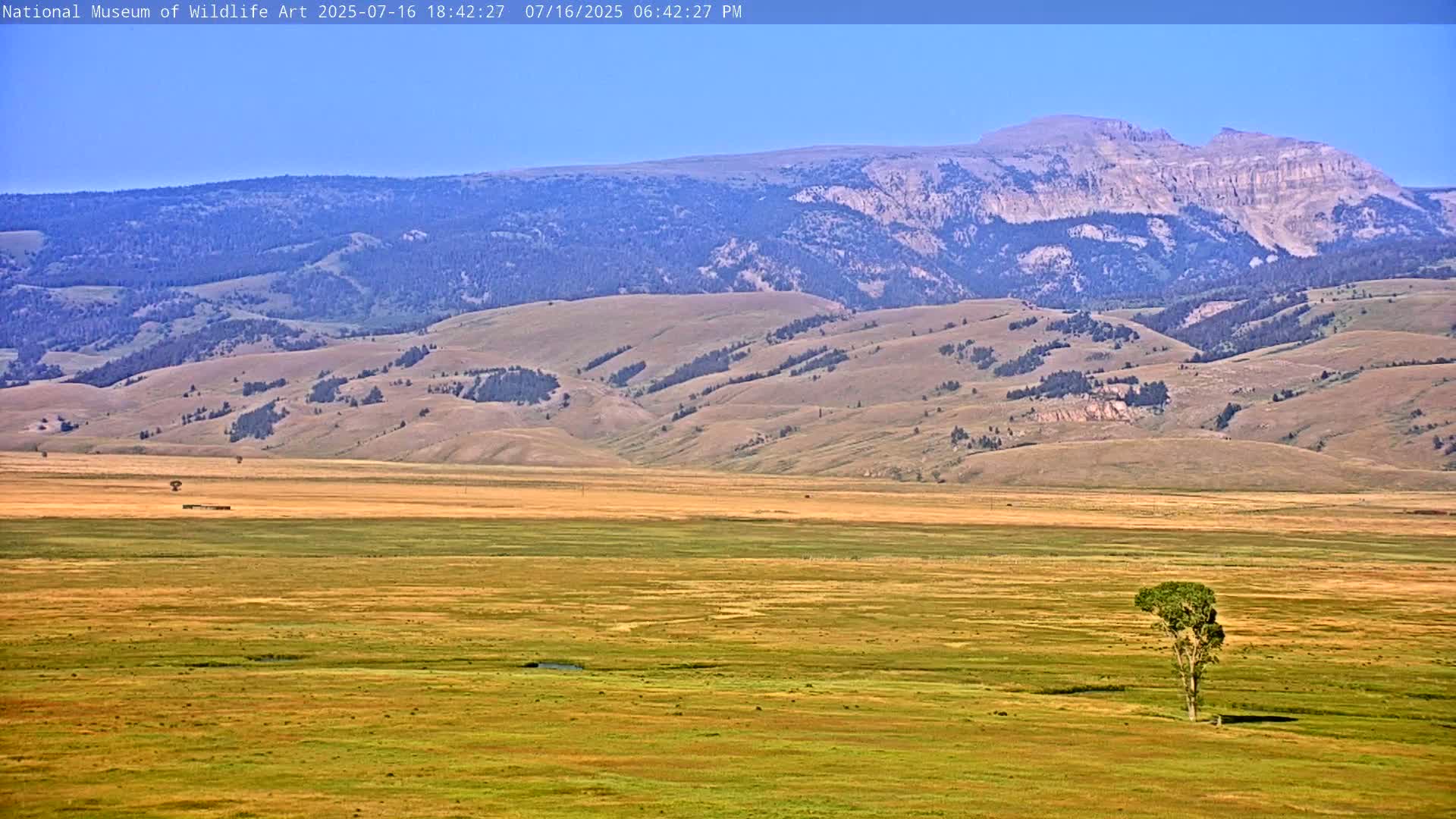 Jackson Hole, Elk Refuge from National Museum of Wildlife Art Live Cam -  Jackson, Teton, Wyoming, USA