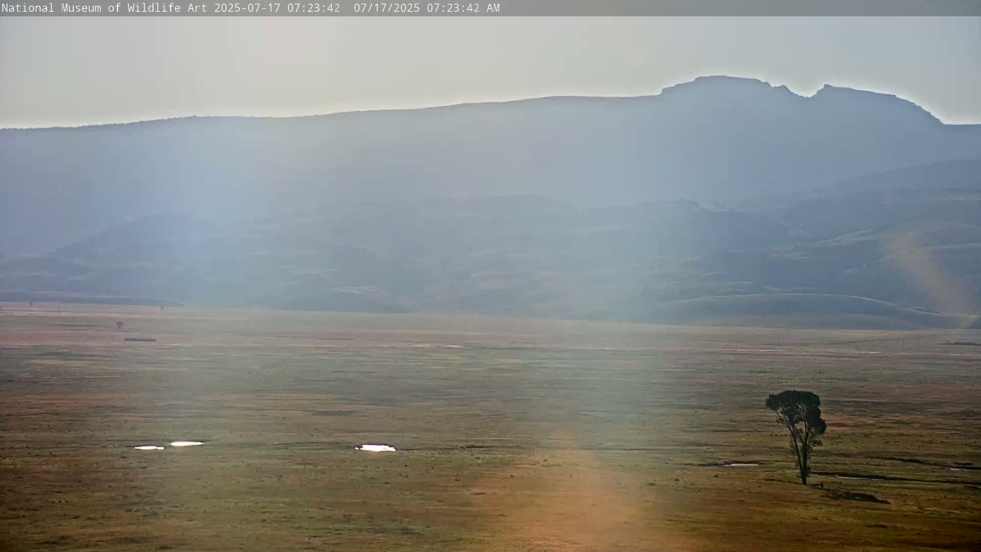 Jackson Hole, Elk Refuge from National Museum of Wildlife Art Live Cam -  Jackson, Teton, Wyoming, USA