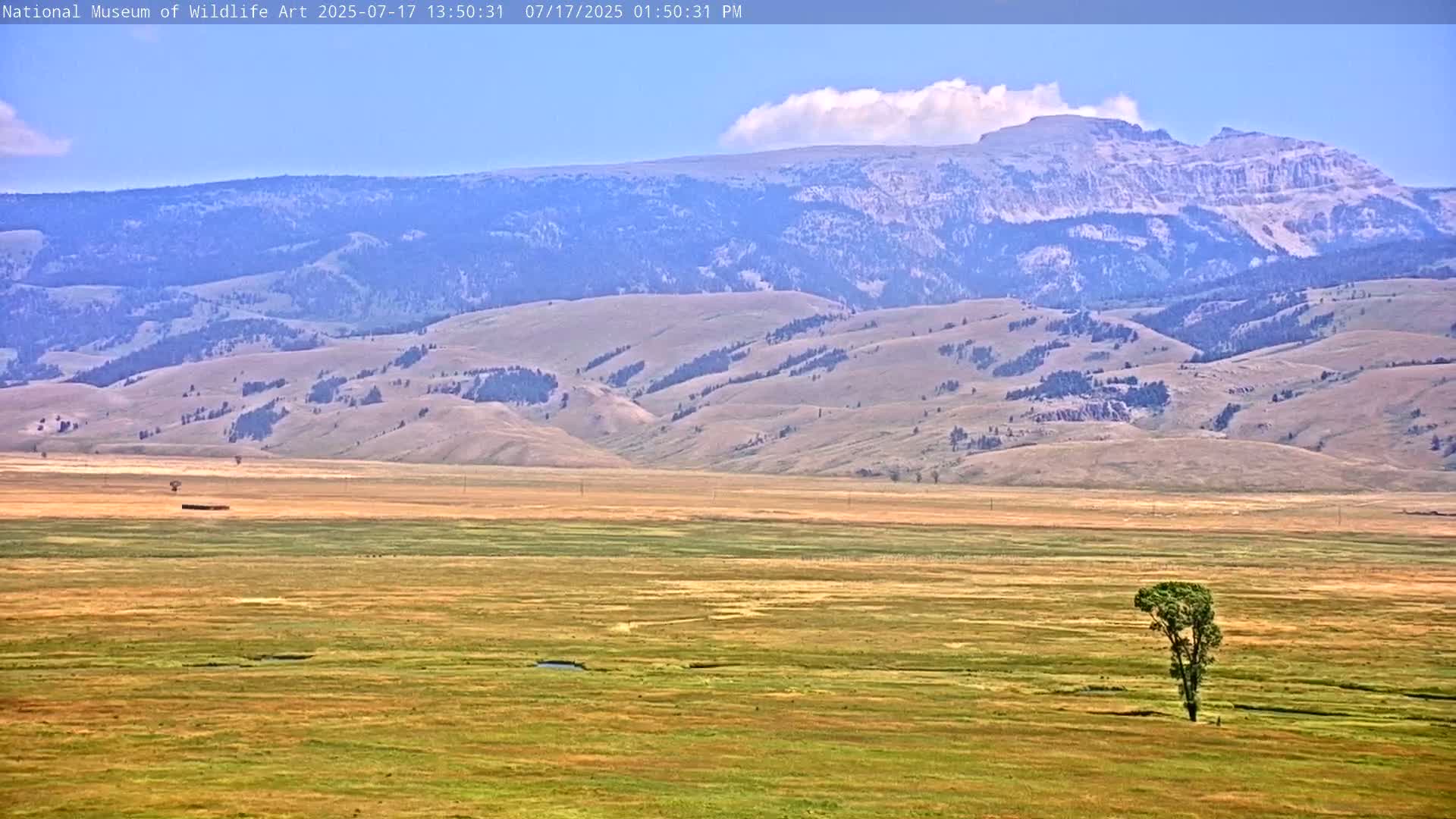 Jackson Hole, Elk Refuge from National Museum of Wildlife Art Live Cam -  Jackson, Teton, Wyoming, USA