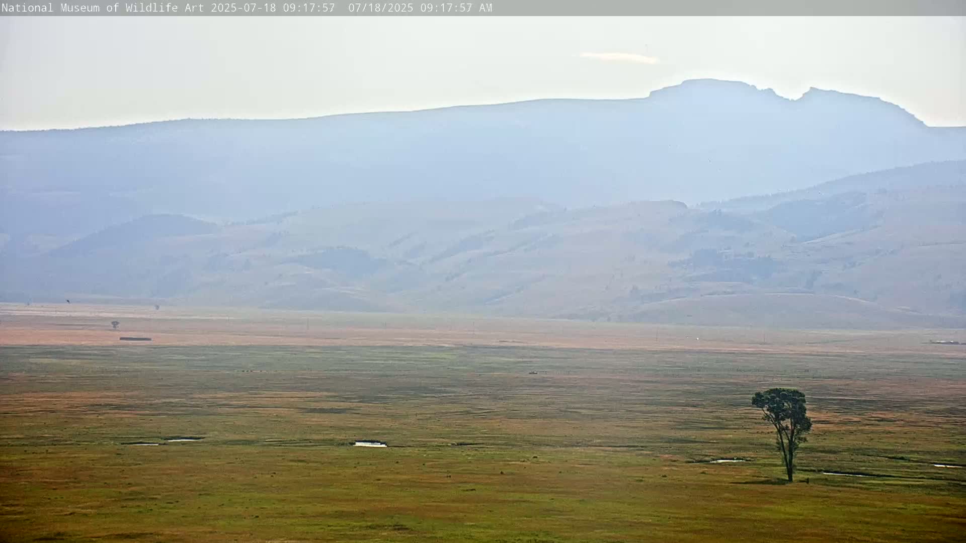 Jackson Hole, Elk Refuge from National Museum of Wildlife Art Live Cam -  Jackson, Teton, Wyoming, USA