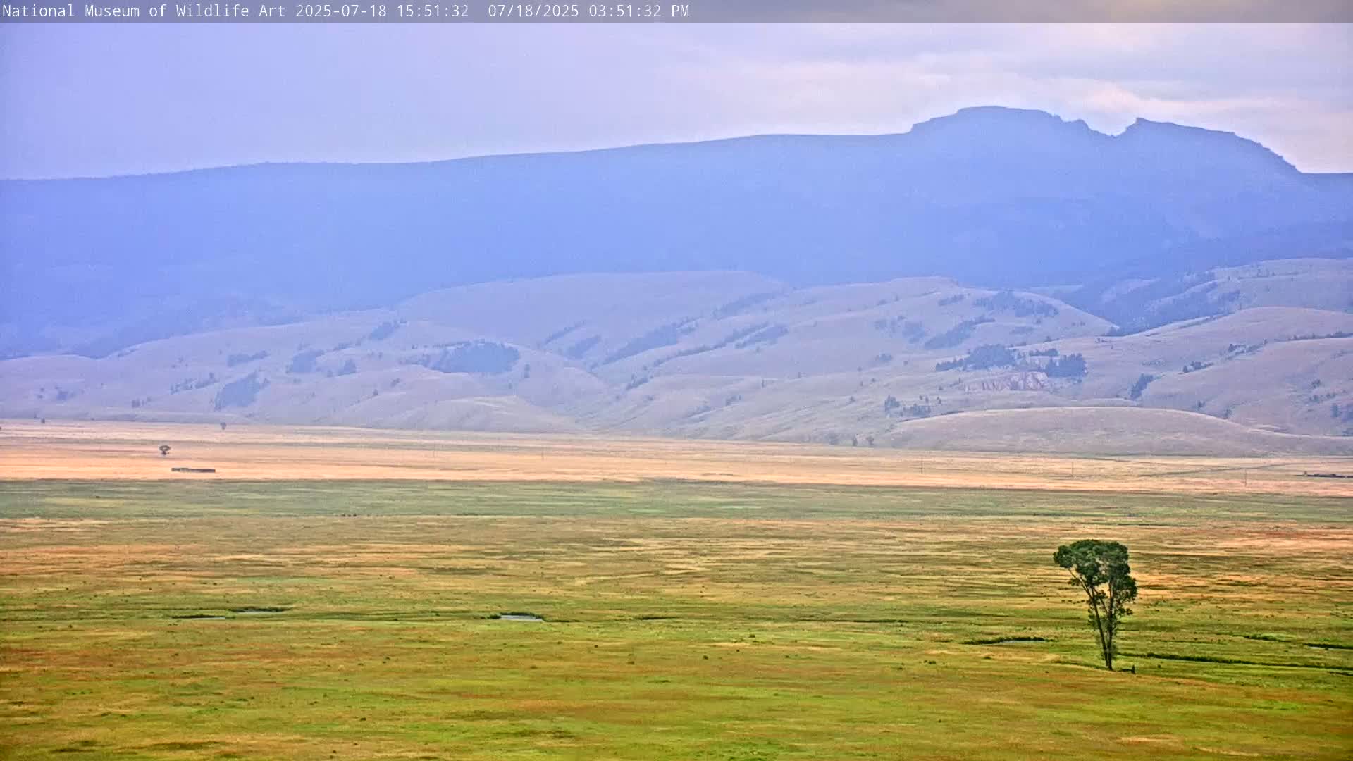 Jackson Hole, Elk Refuge from National Museum of Wildlife Art Live Cam -  Jackson, Teton, Wyoming, USA