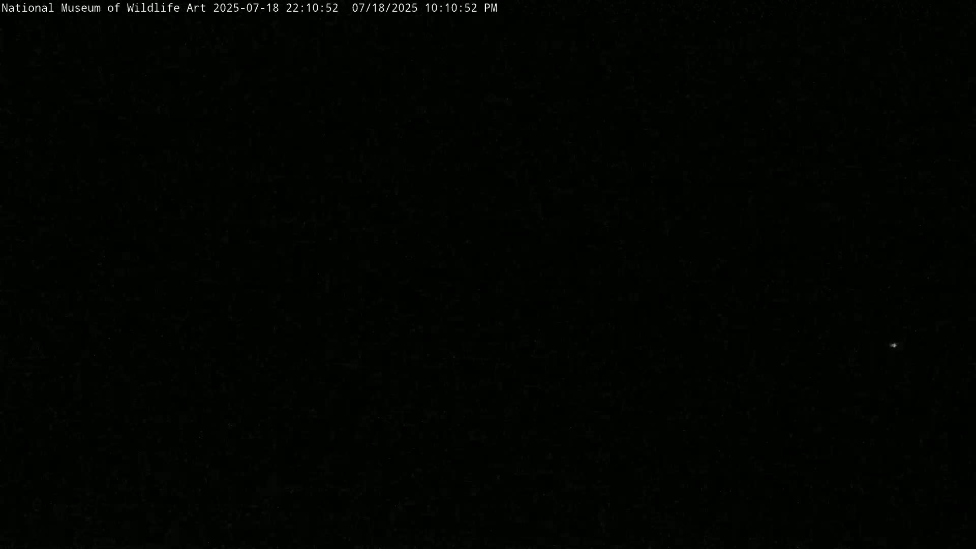 Jackson Hole, Elk Refuge from National Museum of Wildlife Art Live Cam -  Jackson, Teton, Wyoming, USA