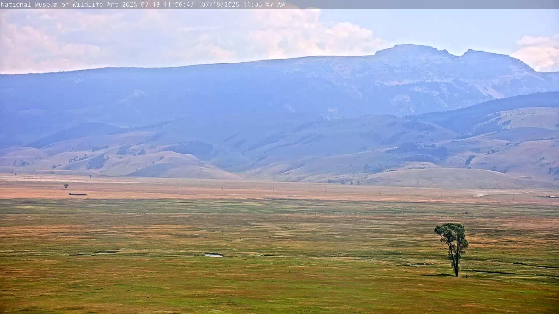 Jackson Hole, Elk Refuge from National Museum of Wildlife Art Live Cam -  Jackson, Teton, Wyoming, USA