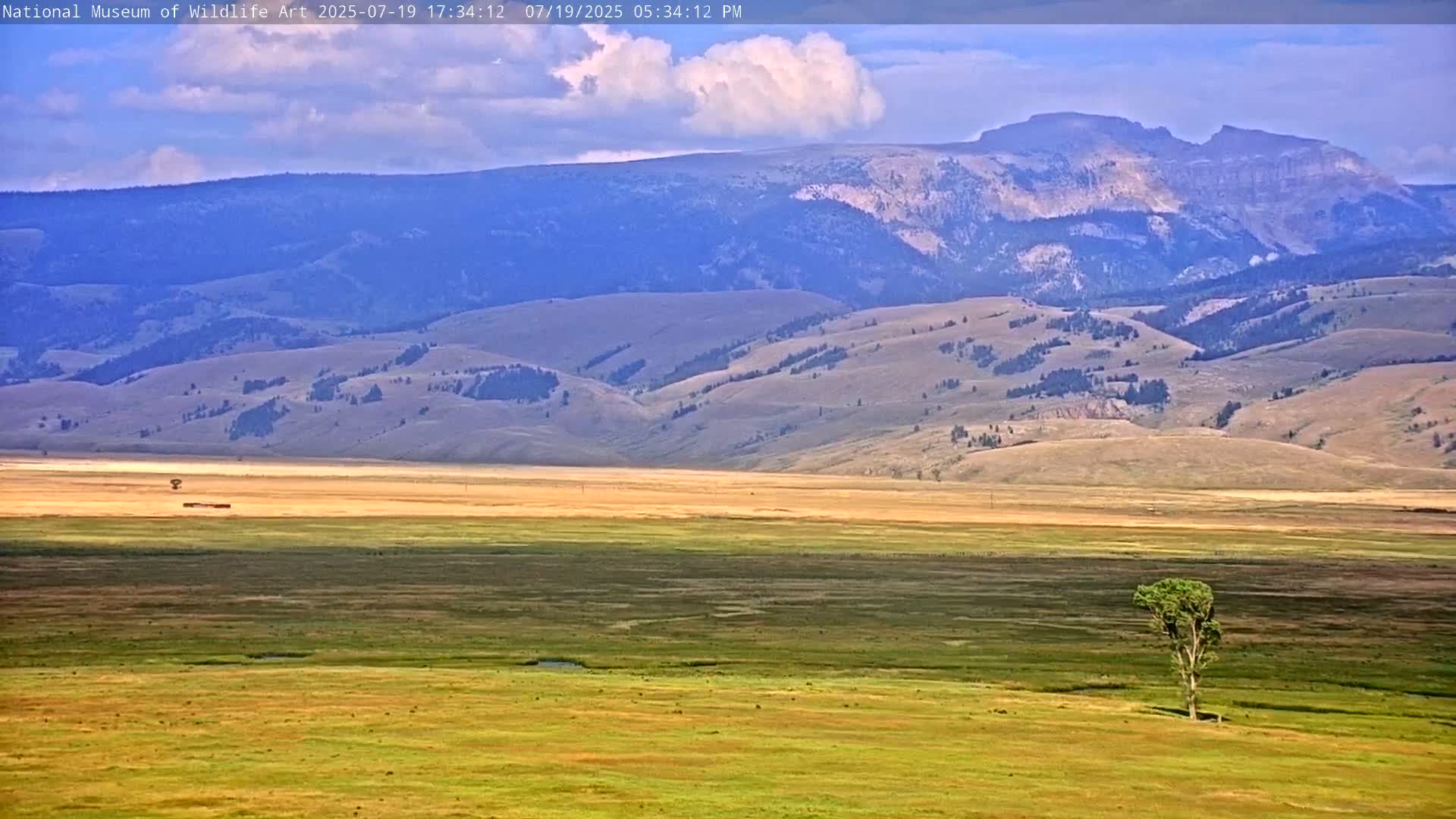 Jackson Hole, Elk Refuge from National Museum of Wildlife Art Live Cam -  Jackson, Teton, Wyoming, USA