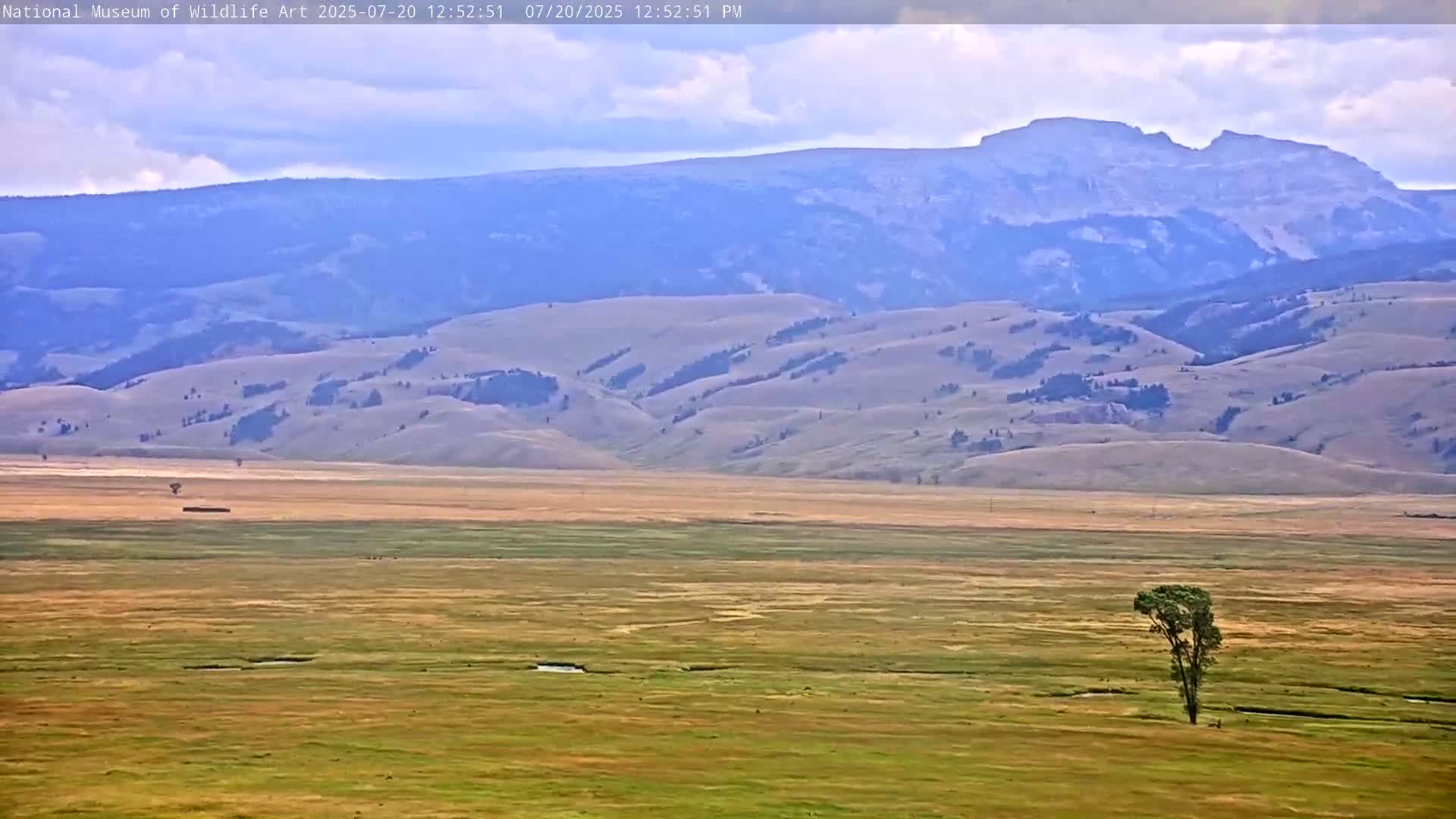 Jackson Hole, Elk Refuge from National Museum of Wildlife Art Live Cam -  Jackson, Teton, Wyoming, USA